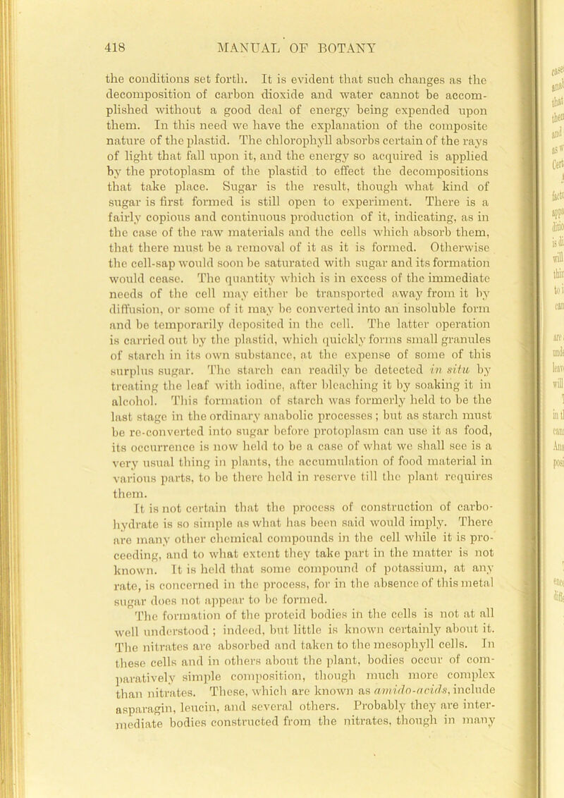the conditions set forth. It is evident that such changes as the decomposition of carbon dioxide and water cannot be accom- plished without a good deal of energy being expended upon them. In this need we have the explanation of the composite nature of the plastid. The chlorophyll absorbs certain of the rays of light that fall upon it, and the energy so acquired is applied by the protoplasm of the plastid to effect the decompositions that take place. Sugar is the result, though what kind of sugar is first formed is still open to experiment. There is a fairly copious and continuous production of it, indicating, as in the case of the raw materials and the cells which absorb them, that there must be a removal of it as it is formed. Otherwise the cell-sap would soon be saturated with sugar and its formation would cease. The quantity which is in excess of the immediate needs of the cell may either be transported away from it by diffusion, or some of it may be converted into an insoluble form and be temporarily deposited in the cell. The latter operation is carried out by the plastid, which quickly forms small granules of starch in its own substance, at the expense of some of this surplus sugar. The starch can readily be detected in situ by treating the leaf with iodine, after bleaching it by soaking it in alcohol. This formation of starch was formerly held to be the last stage in the ordinary anabolic processes ; but as starch must be re-converted into sugar before protoplasm can use it as food, its occurrence is now held to be a case of what we shall see is a very usual thing in plants, the accumulation of food material in various parts, to bo there held in reserve till the plant requires them. It is not certain that the process of construction of carbo- hydrate is so simple as what lias been said would imply. There are many other chemical compounds in the cell while it is pro- ceeding, and to what extent they take part in the matter is not known. It is held that some compound of potassium, at any rate, is concerned in the process, for in the absence of this metal sugar does not appear to be formed. The formation of the proteid bodies in the cells is not at all well understood ; indeed, but little is known certainly about it. The nitrates are absorbed and taken to themesophyll cells. In these cells and in others about the plant, bodies occur of com- paratively simple composition, though much more complex than nitrates. These, which are known as ami do-acids, include asparagin, leucin, and several others. Probably they are inter- mediate bodies constructed from the nitrates, though in many