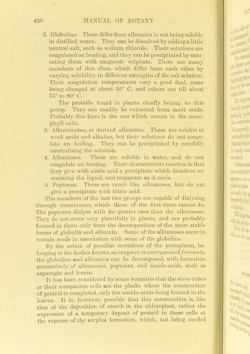 2. Globulins. These differ from albumins in not being soluble in distilled water. They can be dissolved by adding a little neutral salt, such as sodium chloride. Their solutions are coagulated on heating, and they can be precipitated by satu- rating them with magnesic sulphate. There are many members of this class, which differ from each other by varying solubility in different strengths of the salt solution. Their coagulation temperatures vary a good deal, some being changed at about 55° C. and others not till about 75° to 80° C. The proteids found in plants chiefly belong to this group. They can readily be extracted from most seeds. Probably this form is the one which occurs in the rneso- phyll cells. 8. Albuminates, or derived albumins. These are soluble in weak acids and alkalies, but their solutions do not coagu- late on boiling. They can be precipitated by carefully neutralising the solution. 4. Albumoses. These are soluble in water, and do not coagulate on heating. Their characteristic reaction is that they give with nitric acid a precipitate which dissolves on warming tire liquid, and reappears as it cools. 5 Peptones. These are much like albumoses, but do not give a precipitate with nitric acid. The members of the last two groups are capable of dialysing through membranes, which those of the first three cannot do. The peptones dialyse with far greater ease than the albumoses. They do not occur very plentifully in plants, and are probably formed in them only from the decomposition of the more stable forms of globulin and albumin. Some of the albumoses occur in certain seeds in association with some of the globulins. By the action of peculiar secretions of the protoplasm, be- longing to the bodies known as enzymes or un organised ferments, the globulins and albumins can be decomposed, with formation successively of albumoses, peptones, and amido-acids, such as asparagin and leucin. It has been considered by some botanists that the sieve-tubes or their companion cells are the places where the construction of protcid is completed, only the amido-acids being formed in the leaves. It is, however, possible that this construction is, like that of the deposition of starch in the chloroplast, rather the expression of a temporary deposit of proteid in those cells at the expense of the surplus formation, which, not being needed