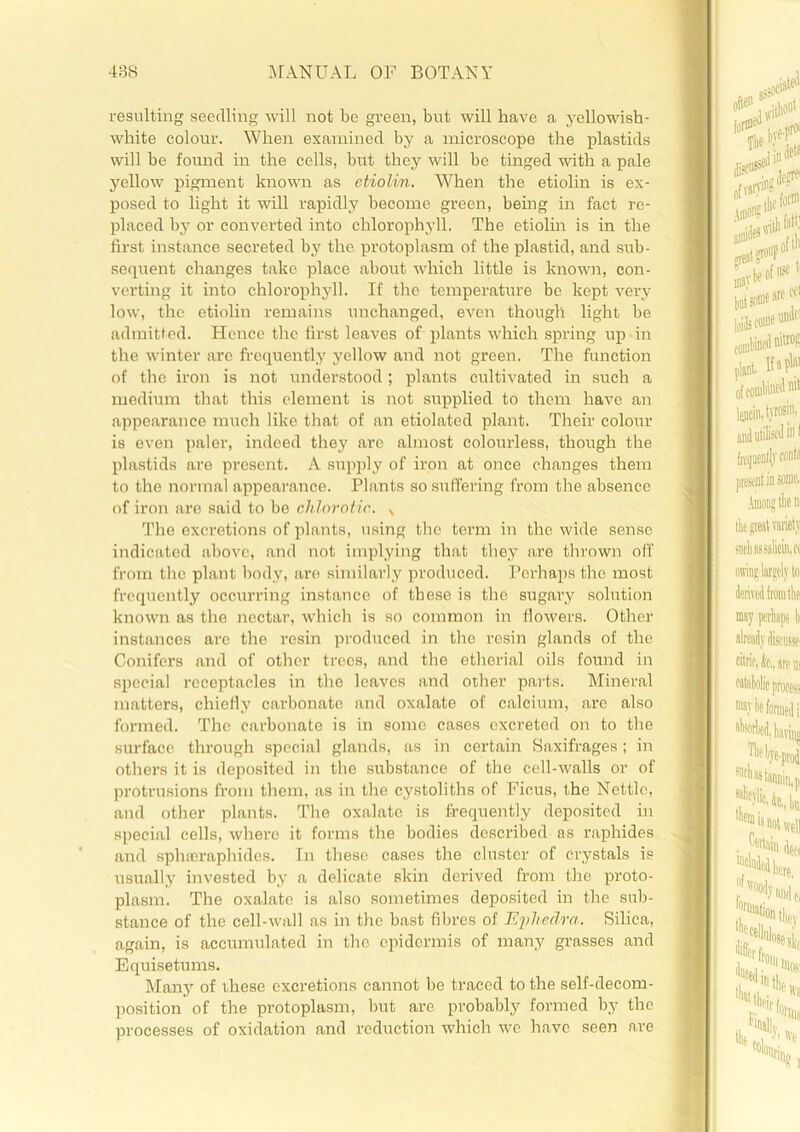 resulting seedling will not be green, but will have a yellowish- white colour. When examined by a microscope the plastids will be found in the cells, but they will be tinged with a pale yellow pigment known as etiolin. When the etiolin is ex- posed to light it will rapidly become green, being in fact re- placed by or converted into chlorophyll. The etiolin is in the first instance secreted by the protoplasm of the plastid, and sub- sequent changes take place about which little is known, con- verting it into chlorophyll. If the temperature be kept very low, the etiolin remains unchanged, even though light be admitted. Hence the first leaves of plants which spring up in the winter are frequently yellow and not green. The function of the iron is not understood; plants cultivated in such a medium that this element is not supplied to them have an appearance much like that of an etiolated plant. Their colour is even paler, indeed they are almost colourless, though the plastids are present. A supply of iron at once changes them to the normal appearance. Plants so suffering from the absence of iron are said to be chlorotic. N The excretions of plants, using the term in the wide sense indicated above, and not implying that they are thrown off from the plant body, are similarly produced. Perhaps the most frequently occurring instance of these is the sugary solution known as the nectar, which is so common in flowers. Other instances are the resin produced in the resin glands of the Conifers and of other trees, and the etherial oils found in special receptacles in the leaves and other parts. Mineral matters, chiefly carbonate and oxalate of calcium, are also formed. The carbonate is in some cases excreted on to the surface through special glands, as in certain Saxifrages; in others it is deposited in the substance of the cell-walls or of protrusions from them, as in the cystoliths of Ficus, the Nettle, and other plants. The oxalate is frequently deposited in special cells, where it forms the bodies described as raphides and sphicraphides. In these cases the cluster of crystals is usually invested by a delicate skin derived from the proto- plasm. The oxalate is also sometimes deposited in the sub- stance of the cell-wall as in the bast fibres of Ephedra. Silica, again, is accumulated in the epidermis of many grasses and Equisetums. Many of these excretions cannot be traced to the self-decom- position of the protoplasm, but arc probably formed by the processes of oxidation and reduction which we have seen are