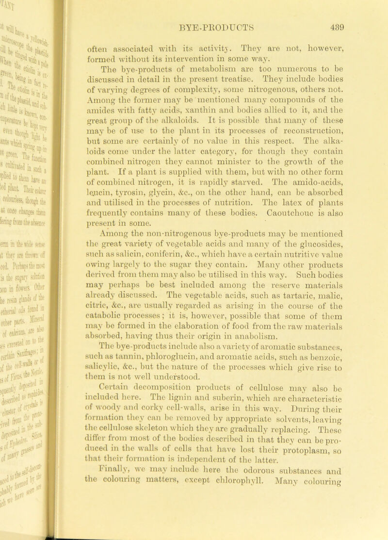 often associated with its activity. They are not, however, formed without its intervention in some way. The bye-products of metabolism are too numerous to be discussed in detail in the present treatise. They include bodies of varying degrees of complexity, some nitrogenous, others not. Among the former may be mentioned many compounds of the amides with fatty acids, xanthin and bodies allied to it, and the great group of the alkaloids. It is possible that many of these majr be of use to the plant in its processes of reconstruction, but some are certainly of no value in this respect. The alka- loids come under the latter category, for though they contain combined nitrogen they cannot minister to the growth of the plant. If a plant is supplied with them, but with no other form of combined nitrogen, it is rapidly starved. The amido-acids, leucin, tyrosin, glycin, &e., on the other hand, can be absorbed and utilised in the processes of nutrition. The latex of plants frequently contains many of these bodies. Caoutchouc is also present in some. Among the non-nitrogenous bye-products may be mentioned the great variety of vegetable acids and many of the glucosides, such as salicin, coniferin, &c., which have a certain nutritive value owing largely to the sugar they contain. Many other products derived from them may also be utilised in this way. Such bodies may perhaps be best included among the reserve materials already discussed. The vegetable acids, such as tartaric, malic, citric, &c., are usually regarded as arising in the course of the catabolic processes; it is, however, possible that some of them may be formed in the elaboration of food from the raw materials absorbed, having thus their origin in anabolism. The bye-products include also a variety of aromatic substances, such as tannin, phloroglucin, and aromatic acids, such as benzoic, salicylic, &c., but the nature of the processes which give rise to them is not well understood. Certain decomposition products of cellulose may also bo included here. The lignin and suberin, which are characteristic of woody and corky cell-walls, arise in this way. During their formation they can be removed by appropriate solvents, leaving the cellulose skeleton which they are gradually replacing. These differ from most of the bodies described in that they can be pro- duced in the walls of cells that have lost their protoplasm, so that their formation is independent of the latter. Finally, we may include here the odorous substances and the colouring matters, except chlorophyll. Many colouring