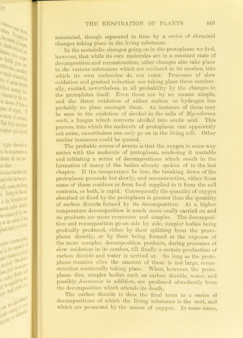 associated, though separated in time by a series of chemical changes taking place in the living substance. In the metabolic changes going on in the protoplasm we find, however, that while its own molecules are in a constant state of decomposition and reconstruction, other changes also take place in the various substances which are enclosed in its meshes, into which its own molecules do not enter. Processes of slow oxidation and gradual reduction are taking place there continu- ally, excited, nevertheless, in all probability by the changes in the protoplasm itself. Even these are by no means simple, and the direct oxidation of either carbon or hydrogen has probably no place amongst them. An instance of them may be seen in the oxidation of alcohol in the cells of Mycoderma aceti, a fungus which converts alcohol into acetic acid. This process, into which the molecule of protoplasm can apparently not enter, nevertheless can only go on in the living cell. Other similar instances could be quoted. The probable course of events is that the oxygen in some way unites with the molecule of protoplasm, rendering it unstable and initiating a series of decompositions which result in the formation of many of the bodies already spoken of in the last chapter. If the temperature be low, the breaking down of the protoplasm proceeds but slowly, and reconstruction, either from some of these residues or from food supplied to it from the cell contents, or both, is rapid. Consequently the quantity of oxygen absorbed or fixed by the protoplasm is greater than the quantity of carbon dioxide formed by its decomposition. At a higher temperature decomposition is much more easily carried on and its products are more numerous and simpler. The decomposi- tion and recomposition go on side by side, simpler bodies being gradually produced, either by their splitting from the proto- plasm directly, or by their being formed at the expense of the more complex decomposition products, during processes of slow oxidation in its meshes, till finally a certain production of carbon dioxide and water is arrived at. So long as the proto- plasm remains alive the amount of these is not large, recon- struction continually taking place. When, however, the proto- plasm dies, simpler bodies such as carbon dioxide, water, and possibly Ammonia in addition, are produced abundantly from the decomposition which attends its death. The carbon dioxide is thus the final term in a series of decompositions of which the living substance is the seat, and which arc promoted by the access of oxygen. In some cases,