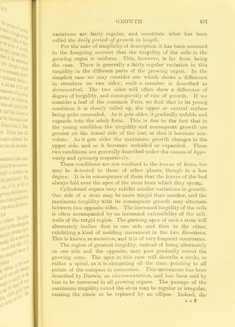 variations are fairly regular, and constitute what has been called the daily period of growth in length. For the sake of simplicity of description it has been assumed in the foregoing account that the turgidity of the cells in the growing organ is uniform. This, however, is far from being the case. There is generally a fairly regular variation in this turgidity in the different parts of the growing organ. In the simplest case we may consider one which shows a difference in structure on two sides; such a member is described as dorsiventral. The two sides will often show a difference of degree of turgidity, and consequently of rate of growth. If we consider a leaf of the common Fern, we find that in its young condition it is closely rolled up, the upper or ventral surface being quite concealed. As it gets older, it gradually unfolds and expands into the adult form. This is due to the fact that in the young condition the turgidity and consequent growth are greater on the dorsal side of the leaf, so that it becomes con- volute. As it gets older the maximum growth changes to the upper side, and so it becomes unfolded or expanded. These two conditions are generally described under the names of hypo- nasty and epinasty respectively. These conditions are not confined to the leaves of ferns, but may be detected in those of other plants, though to a less degree. It is in consequence of them that the leaves of the bud always fold over the apex of the stem from which they spring. Cylindrical organs may exhibit similar variations in growth. One side of a stem may be more turgid than another, and the maximum turgidity with its consequent growth may alternate between two opposite sides. The increased turgidity of the cells is often accompanied by an increased extensibility of the cell- wralls of the turgid region. The growing apex of such a stem will alternately incline first to one side and then to the other, exhibiting a kind of nodding movement in the two directions. This is known as nu tation, and it is of very frequent occurrence. The region of greatest turgidity, instead of being alternately on one side and the opposite, may pass gradually round the growing zone. The apex in this case will describe a circle, or rather a spiral, as it is elongating all the time, pointing to all points of the compass in succession. This movement has been described by Darwin as circumnutation, and has been said by him to be universal in all growing organs. The passage of the maximum turgidity round the stem may be regular or irregular, causing the circle to be replaced by an ellipse. Indeed, the o u 2