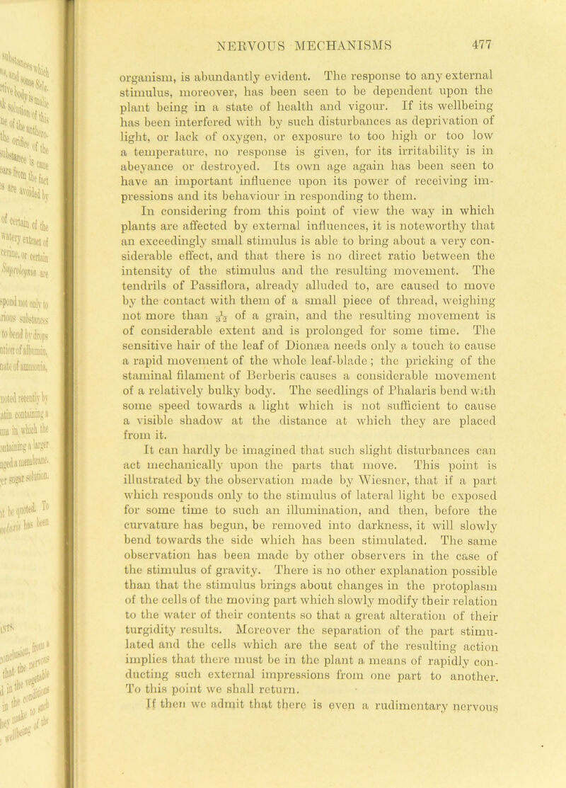 organism, is abundantly evident. The response to any external stimulus, moreover, has been seen to be dependent upon the plant being in a state of health and vigour. If its wellbeing has been interfered with by such disturbances as deprivation of light, or lack of oxygen, or exposure to too high or too low a temperature, no response is given, for its irritability is in abeyance or destroyed. Its own age again has been seen to have an important influence upon its power of receiving im- pressions and its behaviour in responding to them. In considering from this point of view the way in which plants are affected by external influences, it is noteworthy that an exceedingly small stimulus is able to bring about a very con- siderable effect, and that there is no direct ratio between the intensity of the stimulus and the resulting movement. The tendrils of Passiflora, already alluded to, are caused to move by the contact with them of a small piece of thread, weighing not more than of a grain, and the resulting movement is of considerable extent and is prolonged for some time. The sensitive hair of the leaf of Dionsea needs only a touch to cause a rapid movement of the whole leaf-blade; the pricking of the staminal filament of Berberis causes a considerable movement of a relatively bulky body. The seedlings of Phalaris bend with some speed towards a light which is not sufficient to cause a visible shadow at the distance at which they are placed from it. It can hardly be imagined that such slight disturbances can act mechanically upon the parts that move. This point is illustrated by the observation made by Wiesner, that if a part which responds only to the stimulus of lateral light be exposed for some time to such an illumination, and then, before the curvature has begun, be removed into darkness, it will slowly bend towards the side which has been stimulated. The same observation has been made by other observers in the case of the stimulus of gravity. There is no other explanation possible than that the stimulus brings about changes in the protoplasm of the cells of the moving part which slowly modify their relation to the water of their contents so that a great alteration of their turgidity results. Moreover the separation of the part stimu- lated and the cells which are the seat of the resulting action implies that there must be in the plant a means of rapidly con- ducting such external impressions from one part to another. To this point we shall return. If then we admit that there is even a rudimentary nervous