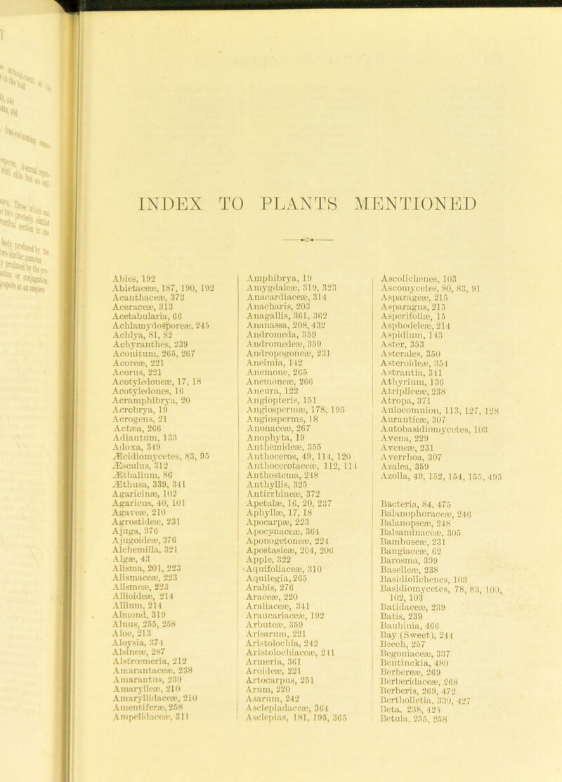 mmm INDEX Abies, 192 Abietacete, 187, 190, 192 Acanthace®, 373 Acerace®, 313 Acetabularia, 0C AchlamydoSpore®, 245 Aehlya, 81, 82 Achymntlies, 239 Aconitum, 2G5, 207 Acore®, 221 Acorns, 221 Acotyledone®, 17. 18 Acotyle<lones, 10 Acramphibrya, 20 Acrobrya, 19 Acrogens, 21 Act*a, 200 Atliantum, 133 Adoxa, 349 TEcidiomycetes, 83, 95 -Esenins, 312 yEtbalium, 80 iEthusa, 339, 341 Agaricin®, 102 Agaricus, 40, 101 Agave*, 210 Agrostide®, 231 Ajnga, 370 Ajugoide®, 370 Alchemilla, 321 Algae, 43 Alisma, 201, 223 Alismaceae, 223 Alisme®, 223 Allioideae, 214 Allium, 214 Almond, 319 Alnus, 255, 258 Aloe, 213 Aloysia, 374 Alsine®, 287 Alstrnemeria, 212 Amarantace®, 238 Amarantns, 239 Amaryllrae, 210 Amaryllidace®, 210 Amentifer®, 258 Ampelidace®, 311 TO PLANTS MENTIONED *o« Amphibrya, 19 Amygdale®, 319, 323 Anacardiace®, 314 Anacharis, 203 Anagallis, 361, 302 Auanassa, 208,432 Andromeda, 359 A ndromede®, 359 Andropogone®, 231 Aneimia, 142 Anemone, 205 Anemone®, 2GG Aneuro, 122 Angiopteris, 151 Angiosperm®, 178, 195 Angiosperms, 18 Anonaee®, 267 Anophyta, 19 Antbemide®, 355 Autboeeros, 49,114, 120 Antliocerotace®, 112, 111 Anthostema, 248 Anthyllis, 325 Antirrliine®, 372 Apetal®, 10, 20, 237 Aphyll®, 17,18 Apocarp®, 223 Apocynace®, 304 Apouogetone®, 224 Apostasie®, 204, 200 Apple, 322 -Aquifoliace®, 310 Aquilegia,2G5 Arabis, 270 Arace®, 220 Araliace®, 341 Araucariace®, 192 Arbnte®, 359 Arisarnm, 221 Aristoloebia, 242 Aristolochiace®, 211 Armeria, 301 Aroide®, 221 Artocarpus, 251 Arum, 220 | Asarum, 242 1 Asclepiadacc®, 301 Asclepias, 181,195,305 Aseoliolienes, 103 Aseomycetes, 80, 83, 91 Asparage®, 215 Asparagus, 215 Asperifoli®, 15 Asphodele®, 214 Aspidium, 143 Aster, 353 Asterales, 350 Asteroide®, 351 Astrantia, 341 Athyrium, 130 Atriplioe®, 238 Atropa, 371 Aulocomnion, 113, 127, 128 Aurantie®, 307 Autobasidlomycetes, 103 Avena, 229 Avene®, 231 Averrhoa, 307 Azalea, 359 AzoUa, 49, 162, 154,155, 495 Bacteria, 84, 475 Balanophprace®, 240 Balanopse®, 24S Balsaminace®, 305 Bambuse®, 231 Bangiace®, 02 Barosma, 309 Baselle®, 238 Basidioliclieues, 103 Basidiomycetes, 78, 83, 10 ), 102, 103 Batidace®, 239 Batis, 239 | Bauhinia, 460 ! Bay (Sweet), 244 Beech, 257 Begoniace®, 337 Beutinckia, 480 J Berbere®, 269 1 Berberidace®, 268 Berberis, 209, 472 Bertliolletia, 330, 427 Beta, 238, 425 Betnla, 255, 258