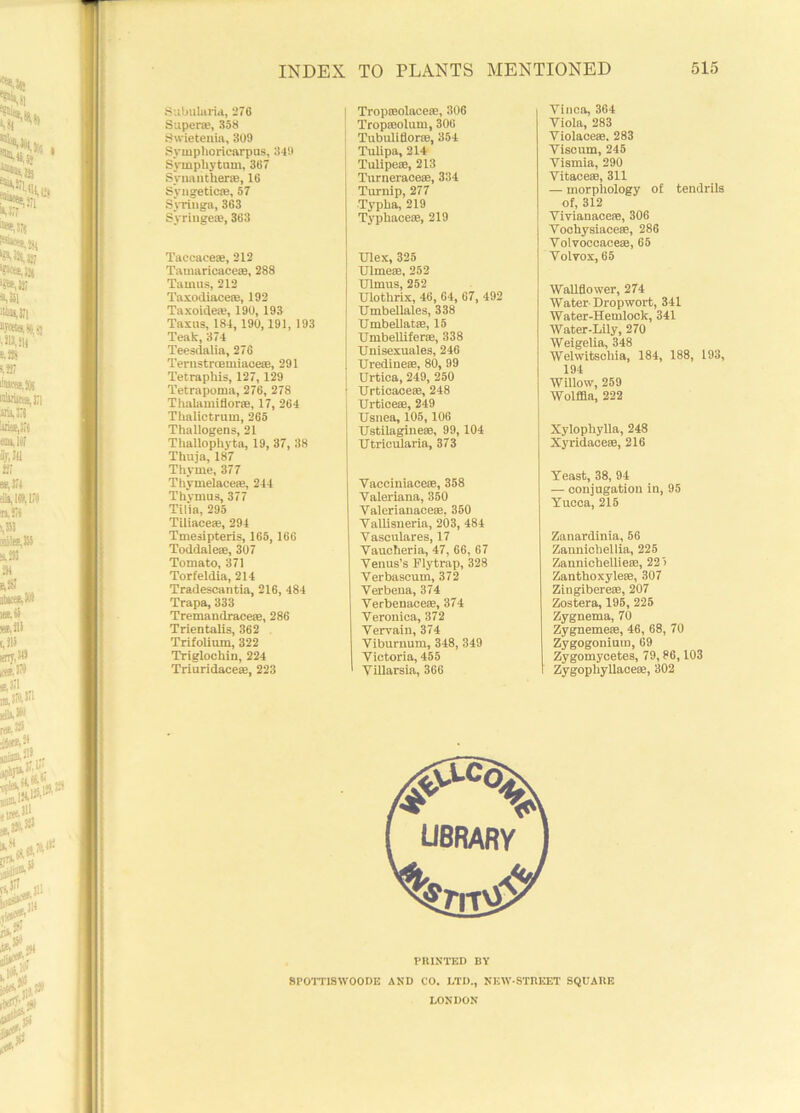 Subuluria, 276 Super®, 358 Swietenia, 309 Symphoricarpus, 349 Symphytum, 367 Synanther®, 16 Syugeticse, 57 Syringa, 363 Syringe®, 363 Taccaee®, 212 Tamaricace®, 288 Tamils, 212 Taxodiace®, 192 Taxoide®, 190, 193 Taxus, 184, 190, 191, 193 Teak, 374 Teesdalia, 276 Terustroemiace®, 291 Tetraphis, 127,129 Tetrapoma, 276, 278 Thalamitione, 17, 264 Thalictrum, 265 Thallogens, 21 Thallophyta, 19, 37, 38 Thuja, 187 Thyme, 377 Thymelace®, 244 Thvmus, 377 Tilia, 295 Tiliaceai, 294 Tmesipteris, 165,166 Toddale®, 307 Tomato, 371 Torfeldia, 214 Tradescantia, 216, 484 Trapa, 333 Tremandrace®, 286 Trientalis, 362 Trifolium, 322 Triglochin, 224 Triuridace®, 223 j Tropreolace®, 306 ■ Tropmolum, 306 ' Tubuliflor®, 354 Tulipa, 214 Tulipe®, 213 Turnerace®, 334 Turnip, 277 Typha, 219 Typhace®, 219 Ulex, 325 Ulme®, 252 Ulmus, 252 Ulothrix, 46, 64, 67, 492 Umbellales, 338 Umbellat®, 15 UmbelliferiE, 338 Unisexuales, 246 Uredine®, 80, 99 Urtica, 249, 250 Urticace®, 248 Urtice®, 249 Usnea, 105,106 Ustilagine®, 99,104 Utricularia, 373 Vacoiniace®, 358 Valeriana, 360 Valerianace®, 350 Vallisneria, 203, 484 Vasculares, 17 Vaucheria, 47, 66, 67 Veuus’s Flytrap, 328 Verbascum, 372 Verbena, 374 Verbenaceae, 374 Veronica, 372 Vervain, 374 Viburnum, 348, 349 Victoria, 455 ' Villarsia, 366 Vinca, 364 Viola, 283 Violace®. 283 Viscum, 245 Vismia, 290 Vitace®, 311 — morphology of tendrils of, 312 Vivianace®, 306 Vochysiace®, 286 Volvoceace®, 65 Volvox, 65 Wallflower, 274 Water Dropwort, 341 Water-Hemlock, 341 Water-Lily, 270 Weigelia, 348 Welwitsehia, 184, 188, 193, 194 Willow, 259 Wolffla, 222 Xylophylla, 248 Xyridace®, 216 Yeast, 38, 94 — conjugation in, 95 Yucca, 215 Zanardinia, 56 Zannicbellia, 225 Zannichellie®, 22) Zanthoxyle®, 307 Zingibere®, 207 Zostera, 195, 225 Zygnema, 70 Zygneme®, 46, 68, 70 Zygogonium, 69 Zygomycetes, 79,86,103 Zygophyllace®, 302 PRINTED BY 8POTTISWOODE AND CO. LTD., NEW-STREET SQUARE LONDON