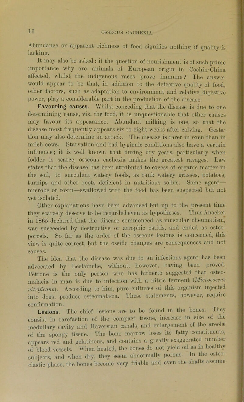 Abundance or apparent richness of food signifies nothing if quality is lacking. It may also be asked : if the question of nourishment is of such prime importance why are animals of European origin in Cochin-China affected, whilst the indigenous races prove immune ? The answer would appear to be that, in addition to the defective quality of food, other factors, such as adaptation to environment and relative digestive power, play a considerable part in the production of the disease. Favouring causes. Whilst conceding that the disease is due to one determining cause, viz. the food, it is unquestionable that other causes may favour its appearance. Abundant milking is one, so that the disease most frequently appears six to eight weeks after calving. Gesta- tion may also determine an attack. The disease is rarer in oxen than in milch cows. Starvation and bad hygienic conditions also have a certain influence; it is well known that during dry years, particularly when fodder is scarce, osseous cachexia makes the greatest ravages. Law states that the disease has been attributed to excess of organic matter in the soil, to succulent watery foods, as rank watery grasses, potatoes, turnips and other roots deficient in nutritious solids. Some agent— microbe or toxin—swallowed with the food has been suspected but not yet isolated. Other explanations have been advanced but up to the present time they scarcely deserve to be regarded even as hypotheses. Thus Anacker in 1865 declared that the disease commenced as muscular rheumatism, was succeeded by destructive or atrophic ostitis, and ended as osteo- porosis. So far as the order of the osseous lesions is concerned, this view is quite correct, but the ossific changes are consequences and not causes. The idea that the disease was due to an infectious agent has been advocated by Leclainche, without, however, having been pioved. Petrone is the only person who has hitherto suggested that osteo- malacia in man is due to infection with a nitric ferment (Micrococcus nitrijicans). According to him, pure cultures of this organism injected into dogs, produce osteomalacia. These statements, however, requiie confirmation. Lesions. The chief lesions are to be found in the bones. They consist in rarefaction of the compact tissue, increase in size of the medullary cavity and Haversian canals, and enlargement of the areohe of the spongy tissue. The bone marrow loses its fatty constituents, appears red and gelatinous, and contains a greatly exaggerated number of blood-vessels. When heated, the bones do not yield oil as in healthy subjects, and when dry, they seem abnormally porous. In the osteo- clastic phase, the bones become very friable and even the shafts assume