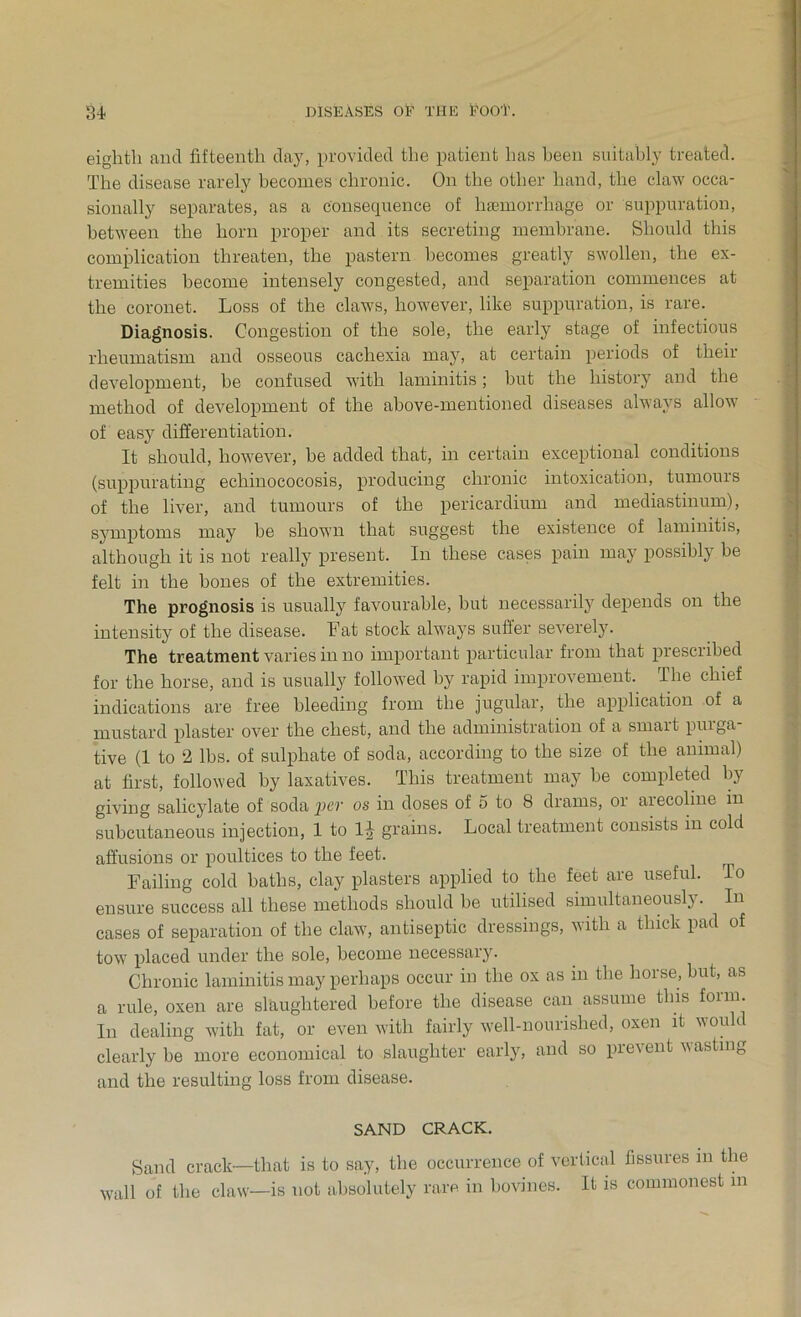 eighth and fifteenth day, provided the patient has been suitably treated. The disease rarely becomes chronic. On the other hand, the claw occa- sionally separates, as a consequence of haemorrhage or suppuration, between the horn proper and its secreting membrane. Should this complication threaten, the pastern becomes greatly swollen, the ex- tremities become intensely congested, and separation commences at the coronet. Loss of the claws, however, like suppuration, is rare. Diagnosis. Congestion of the sole, the early stage of infectious rheumatism and osseous cachexia may, at certain periods of their development, be confused with laminitis; hut the history and the method of development of the above-mentioned diseases always allow of easy differentiation. It should, however, he added that, in certain exceptional conditions (suppurating echinococosis, producing chronic intoxication, tumours of the liver, and tumours of the pericardium and mediastinum), symptoms may be shown that suggest the existence of laminitis, although it is not really present. In these cases pain may possibly be felt in the bones of the extremities. The prognosis is usually favourable, hut necessarily depends on the intensity of the disease. Fat stock always suffer severely. The treatment varies in no important particular from that prescribed for the horse, and is usually followed by rapid improvement. The chief indications are free bleeding from the jugular, the application of a mustard plaster over the chest, and the administration of a smart purga- tive (1 to 2 lbs. of sulphate of soda, according to the size of the animal) at first, followed by laxatives. This treatment may he completed by giving salicylate of soda pn- os in doses of 5 to 8 drams, or arecoline in subcutaneous injection, 1 to 1£ grains. Local treatment consists in cold affusions or poultices to the feet. Failing cold baths, clay plasters applied to the feet are useful. To ensure success all these methods should he utilised simultaneously. In cases of separation of the claw, antiseptic dressings, with a thick pad of tow placed under the sole, become necessary. Chronic laminitis may perhaps occur in the ox as in the horse, but, as a rule, oxen are slaughtered before the disease can assume this fonn. In dealing with fat, or even with fairly well-nourished, oxen it would clearly be more economical to slaughter early, and so prevent wasting and the resulting loss from disease. SAND CRACK. Sand crack—that is to say, the occurrence of vertical fissures in the wall of the claw—is not absolutely rare, in bovines. It is commonest m