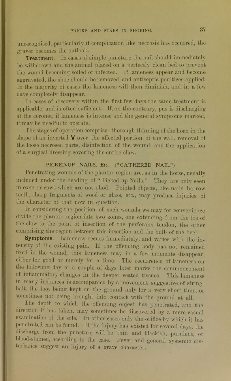 PRICKS AND STABS IN SHOEING. unrecognised, particularly if complication like necrosis has occurred, the graver becomes the outlook. Treatment. In cases of simple puncture the nail should immediately be withdrawn and the animal placed on a perfectly clean bed to prevent the wound becoming soiled or infected. If lameness appear and become aggravated, the shoe should be removed and antiseptic poultices applied. In the majority of cases the lameness will then diminish, and in a few days completely disappear. In cases of discovery within the first few days the same treatment is applicable, and is often sufficient. If, on the contrary, pus is discharging at the coronet, if lameness is intense and the general symptoms marked, it may he needful to operate. The stages of operation comprise: thorough thinning of the horn in the shape of an inverted V over the affected portion of the wall, removal of the loose necrosed parts, disinfection of the wound, and the application of a surgical dressing covering the entire claw. PICKED-UP NAILS, Etc. (“GATHERED NAIL/') Penetrating wounds of the plantar region are, as in the horse, usually included under the heading of “ Picked-up Nails.” They are only seen in oxen or cows which are not shod. Pointed objects, like nails, harrow teeth, sharp fragments of wood or glass, etc., may produce injuries of the character of that now in question. In considering the position of such wounds we may for convenience divide the plantar region into two zones, one extending from the toe of the claw to the point of insertion of the perforans tendon, the other comprising the region between this insertion and the bulb of the heel. Symptoms. Lameness occurs immediately, and varies with the in- tensity of the existing pain. If the offending body has not remained fixed in the wound, this lameness may in a few moments disappear, either for good or merely for a time. The recurrence of lameness on the following day or a couple of days later marks the commencement of inflammatory changes in the deeper seated tissues. This lameness in many instances is accompanied by a movement suggestive of string- halt, the foot being kept on the ground only for a very short time, or sometimes not being brought into contact with the ground at all. The depth to which the offending object has penetrated, and the direction it has taken, may sometimes be discovered by a mere casual examination of the sole. In other cases only the orifice by which it has penetrated can be found. If the injury has existed for several days, the discharge from the puncture will be thin and blackish, purulent, or blood-stained, according to the case. Fever and general systemic dis- turbance suggest an injury of a grave character.