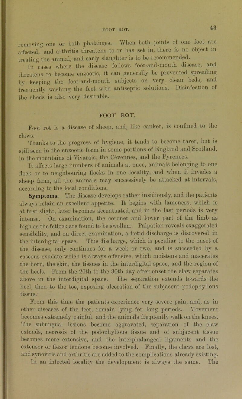 FOOT ROT. removing one or both phalanges. When both joints of one foot are affected, and arthritis threatens to or has set in, there is no object in treating the animal, and early slaughter is to be recommended. In °cases where the disease follows foot-and-mouth disease, and threatens to become enzootic, it can generally be prevented spreading by keeping the foot-and-mouth subjects on very clean beds, and frequently washing the feet with antiseptic solutions. Disinfection of the sheds is also very desirable. FOOT ROT. Foot rot is a disease of sheep, and, like canker, is confined to the claws. Thanks to the progress of hygiene, it tends to become rarer, hut is still seen in the enzootic form in some portions of England and Scotland, in the mountains of Vivarais, the Cevennes, and the Pyrenees. It affects large numbers of animals at once, animals belonging to one flock or to neighbouring flocks in one locality, and when it invades a sheep farm, all the animals may successively be attacked at intervals, according to the local conditions. Symptoms. The disease develops rather insidiously, and the patients always retain an excellent appetite. It begins with lameness, which is at first slight, later becomes accentuated, and in the last periods is very intense. On examination, the coronet and lower part of the limb as high as the fetlock are found to be swollen. Palpation reveals exaggerated sensibility, and on direct examination, a foetid discharge is discovered in the interdigital space. This discharge, which is peculiar to the onset of the disease, only continues for a week or two, and is succeeded by a caseous exudate which is always offensive, which moistens and macerates the horn, the skin, the tissues in the interdigital space, and the region of the heels. From the 20th to the 30th day after onset the claw separates above in the interdigital space. The separation extends towards the heel, then to the toe, exposing ulceration of the subjacent podophyllous tissue. From this time the patients experience very severe pain, and, as in other diseases of the feet, remain lying for long periods. Movement becomes extremely painful, and the animals frequently walk on the knees. The subungual lesions become aggravated, separation of the claw extends, necrosis of the podophyllous tissue and of subjacent tissue becomes more extensive, and the interphalangeal ligaments and the extensor or flexor tendons become involved. Finally, the claws are lost, and synovitis and arthritis are added to the complications already existing. In an infected locality the development is always the same. The