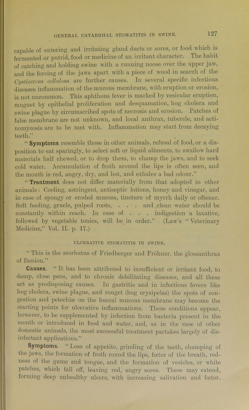 capable of entering and irritating gland ducts or sores, or food which is fermented or putrid, food or medicine of an irritant character. The habit of catching and holding swine with a running noose over the upper jaw, and the forcing of the jaws apart with a piece of wood in search of the Cysticercus cellulosa are further causes. In several specific infectious diseases inflammation of the mucous membrane, with eruption or erosion, is not uncommon. This aphthous fever is marked by vesicular eruption, muguet by epithelial proliferation and desquamation, hog cholera and swine plague by circumscribed spots of necrosis and erosion. Patches of false membrane are not unknown, and local anthrax, tubercle, and acti- nomycosis are to be met with. Inflammation may start from decaying teeth.” “ Symptoms resemble those in other animals, refusal of food, or a dis- position to eat sparingly, to select soft or liquid aliments, to swallow hard materials half chewed, or to drop them, to champ the jaws, and to seek cold water. Accumulation of froth around the lips is often seen, and the mouth is red, angry, dry, and hot, and exhales a bad odour.” “ Treatment does not differ materially from that adopted in other animals : Cooling, astringent, antiseptic lotions, honey and vinegar, and in case of spongy or eroded mucosa, tincture of myrrh daily or oftener. Soft feeding, gruels, pulped roots, . . . and .clean water should be constantly within reach. In case of . . . indigestion a laxative, followed by vegetable tonics, will be in order.” (Law’s “ Veterinary Medicine,” Vol. II. p. 17.) ULCERATIVE STOMATITIS IN SWINE. “ This is the scorbutus of Friedberger and Frohner, the glossanthrax of Benion.” Causes. “ It has been attributed to insufficient or irritant food, to damp, close pens, and to chronic debilitating diseases, and all these act as predisposing causes. In gastritis and in infectious fevers like hog cholera, swine plague, and rouget (hog erysipelas) the spots of con- gestion and petechue on the buccal mucous membrane may become the starting points for ulcerative inflammations. These conditions appear, however, to be supplemented by infection from bacteria present in the mouth or introduced in food and water, and, as in the case of other domestic animals, the most successful treatment partakes largely of dis- infectant applications.” Symptoms. “ Loss of appetite, grinding of the teeth, champing of the jaws, the formation of froth round the lips, ftetor of the breath, red- ness of the gums and tongue, and the formation of vesicles, or white patches, which fall off, leaving red, angry sores. These may extend, forming deep unhealthy ulcers, with increasing salivation and fcetor.