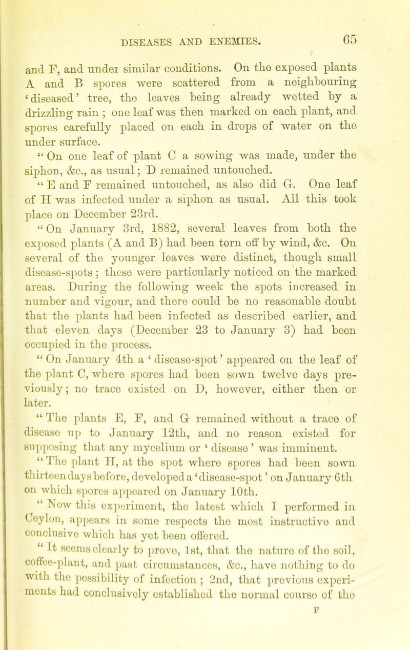 and F, and nndei similar conditions. On tlie exposed plants A and B spores were scattered from a neighbouring ‘diseased’ tree, the leaves beirig already wetted by a drizzling rain ; one leaf was then marked on each plant, and spores carefully placed on each in drops of water on the under surface. “ On one leaf of plant C a sowing was made, under the siphon, &c., as usual; D remained untouched. “ E and F remained untouched, as also did ft. One leaf of H was infected under a siphon as usual. All this took place on December 23rd. “ On January 3rd, 1882, several leaves from both the exposed plants (A and B) had been torn off by wind, &c. On several of the younger leaves were distinct, though small disease-spots; these were particularly noticed on the marked areas. During the following week the spots increased in number and vigour, and there could be no reasonable doubt that the plants had been infected as described earlier, and that eleven days (December 23 to January 3) had been occupied in the process. “ On January 4th a ‘ disease-spot ’ appeared on the leaf of the plant C, where spores had been sown twelve days pre- viously ; no trace existed on D, however, either then or later. “ The plants E, F, and Gr remained without a trace of disease up to January 12tli, and no reason existed for supposing that any mycelium or ‘ disease ’ was imminent. “The plant IT, at the spot where spores had been sown thirteen days before, developed a ‘disease-spot ’ on January Gth on which spores appeared on January 10th. “ Now this experiment, tho latest which I performed in Ceylon, appears in somo respects tho most instructive and conclusive which has yet been offered. “ It seems clearly to prove, 1st, that the nature of the soil, coffee-plant, and past circumstancos, &c., havo nothing to do with tho possibility of infection ; 2nd, that previous experi- ments had conclusively established tho normal course of the p