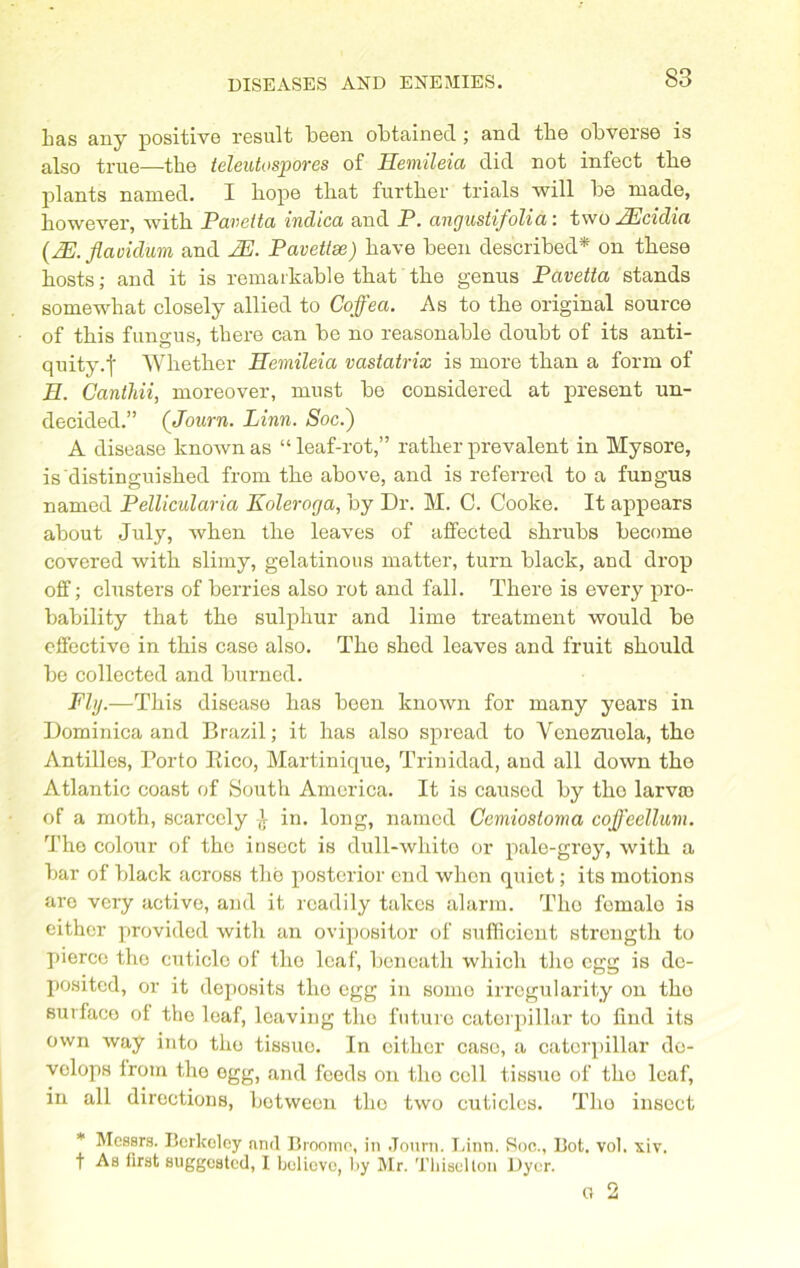 Las any positive result been obtained; and tbe obverse is also true—tbe teleutospoves of Uemileia did not infect tbe plants named. I bope tbat further trials will be made, however, with Pavetta indiccc and P. angustifoliatwo JEcidici (Mflavidum and 2E. Pavettse) have been described* on these hosts; and it is remarkable that the genus Pavetta stands somewhat closely allied to Coffea. As to the original source of this fungus, there can be no reasonable doubt of its anti- quity.| Whether Uemileia vastatrix is more than a form of II. Cantliii, moreover, must be considered at present un- decided.” (Journ. Linn. Soc.) A disease known as “leaf-rot,” rather prevalent in Mysore, is distinguished from the above, and is referred to a fungus named Pellicularia Koleroga, by Dr. M. C. Cooke. It appears about July, when the leaves of affected shrubs become covered with slimy, gelatinous matter, turn black, and drop off; clusters of berries also rot and fall. There is every pro- bability that the sulphur and lime treatment would be effective in this case also. The shed loaves and fruit should be collected and burned. Fly.—This disease has been known for many years in Dominica and Brazil; it has also spread to Venezuela, the Antilles, Porto Rico, Martinique, Trinidad, and all down the Atlantic coast of South America. It is caused by tho larvae of a moth, scarcely l in. long, named Cemiostoma cojf'eellum. The colour of tho insect is dull-white or pale-grey, with a bar of black across tho posterior end when quiet; its motions are very active, and it readily takes alarm. Tho femalo is either provided with an ovipositor of sufficient strength to pierce tho cuticle of the leaf, beneath which tho egg is de- posited, or it deposits tho egg in somo irregularity on tho surface of the leaf, leaving tho future caterpillar to find its own way into tho tissue. In oither case, a caterpillar de- velops from the egg, and feeds on tho cell tissue of tho leaf, in all directions, between tho two cuticles. Tho insect * Messrs. Berkolcy nnd Broome, in Jouni. Linn. Soc., Bot. vol. xiv. t As first suggested, I believe, by Mr. Tbiselton Dyer. O 2