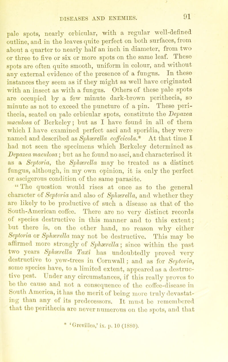 pale spots, nearly orbicular, ■with a regular ■well-defined outline, and in the leaves quite perfect on both surfaces, from about a quarter to nearly half an inch in diameter, from two or three to five or six or more spots on the same leaf. T hese spots are often quite smooth, uniform in colour, and without any external evidence of the presence of a fungus. In these instances they seem as if they might as well have originated with an insect as with a fungus. Others of these pale spots are occupied by a few minute dark-brown perithecia, so minute as not to exceed the puncture of a pin. These peri- thecia, seated on pale orbicular spots, constitute the Depazea maculosa of Berkeley; but as I have found in all of them which I have examined perfect asci and sporidia, they were named and described as Sphserella coffeicola.* At that time I had not seen the specimens which Berkeley determined as Depazea maculosa; but as he found no asci, and characterised it as a Septoria, the Sphserella may be treated as a distinct fungus, although, in my own opinion, it is only the perfect or ascigerous condition of the same parasite. “ The question would rises at once as to the general character of Septoria and also of Spheerella, and whether they are likely to be productive of such a diseaso as that of tlio South-American coffee. There are no very distinct records ot species destructive in this manner and to this extent; but there is, on tho other hand, no reason why either Septoria or Spheerella may not bo destructive. This may bo affirmed more strongly of Sphserella; sineo within the past two years Spheerella Taxi has undoubtedly proved very destructive to yew-trees in Cornwall; and as for Septoria, some species have, to a limited extent, appeared as a destruc- tive pest. Under any circumstances, if this really proves to bo tho cause and not a consequence of tho coffee-disease in South America, it has tho merit of being more truly devastat- ing than .any of its predecessors. It must bo romembered that the perithecia aro never numerous on tho spots, and that