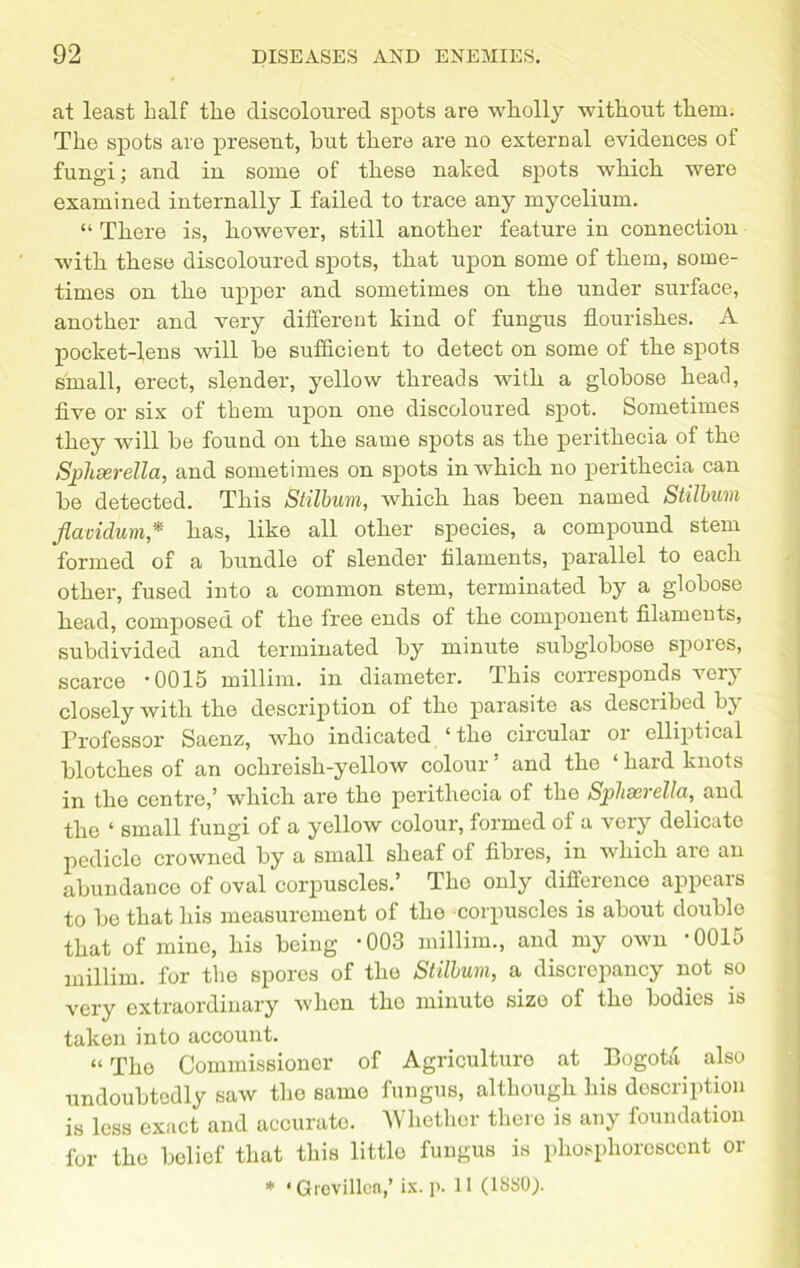 at least half the discoloured spots are wholly without them. The spots are present, but there are no external evidences ot fungi; and in some of these naked spots which were examined internally I failed to trace any mycelium. “ There is, however, still another feature in connection with these discoloured spots, that upon some of them, some- times on the upper and sometimes on the under surface, another and very different kind of fungus flourishes. A pocket-lens will be sufficient to detect on some of the spots small, erect, slender, yellow threads with a globose head, five or six of them upon one discoloured spot. Sometimes they will be found on the same spots as the perithecia of the Sjphserella, and sometimes on spots in which no perithecia can be detected. This Stilbum, which has been named Stilbum fiavidum * has, like all other species, a compound stem formed of a bundle of slender filaments, parallel to each other, fused into a common stem, terminated by a globose head, composed of the free ends of the component filaments, subdivided and terminated by minute subglobose spoies, scarce -0015 millim. in diameter. This corresponds very closely with the description of the parasite as desciibed bj Professor Saenz, who indicated ‘ the circular or elliptical blotches of an ochreish-yellow colour ’ and the ‘ hard knots in the centre,’ which are the perithecia of the Sphserella, and the ‘ small fungi of a yellow colour, formed of a very delicate pedicle crowned by a small sheaf of fibres, in which are an abundance of oval corpuscles.’ The only difference appears to be that his measurement of the corpuscles is about double that of mine, his being *003 millim., and my own *0015 millim. for the spores of the Stilbum, a discrepancy not so very extraordinary when the minute sizo of the bodies is taken into account. ^ “The Commissioner of Agriculture at Bogota, also undoubtedly saw the same fungus, although his description is less exact and accurate. Whether thero is any foundation for the belief that this little fungus is phosphorescent or