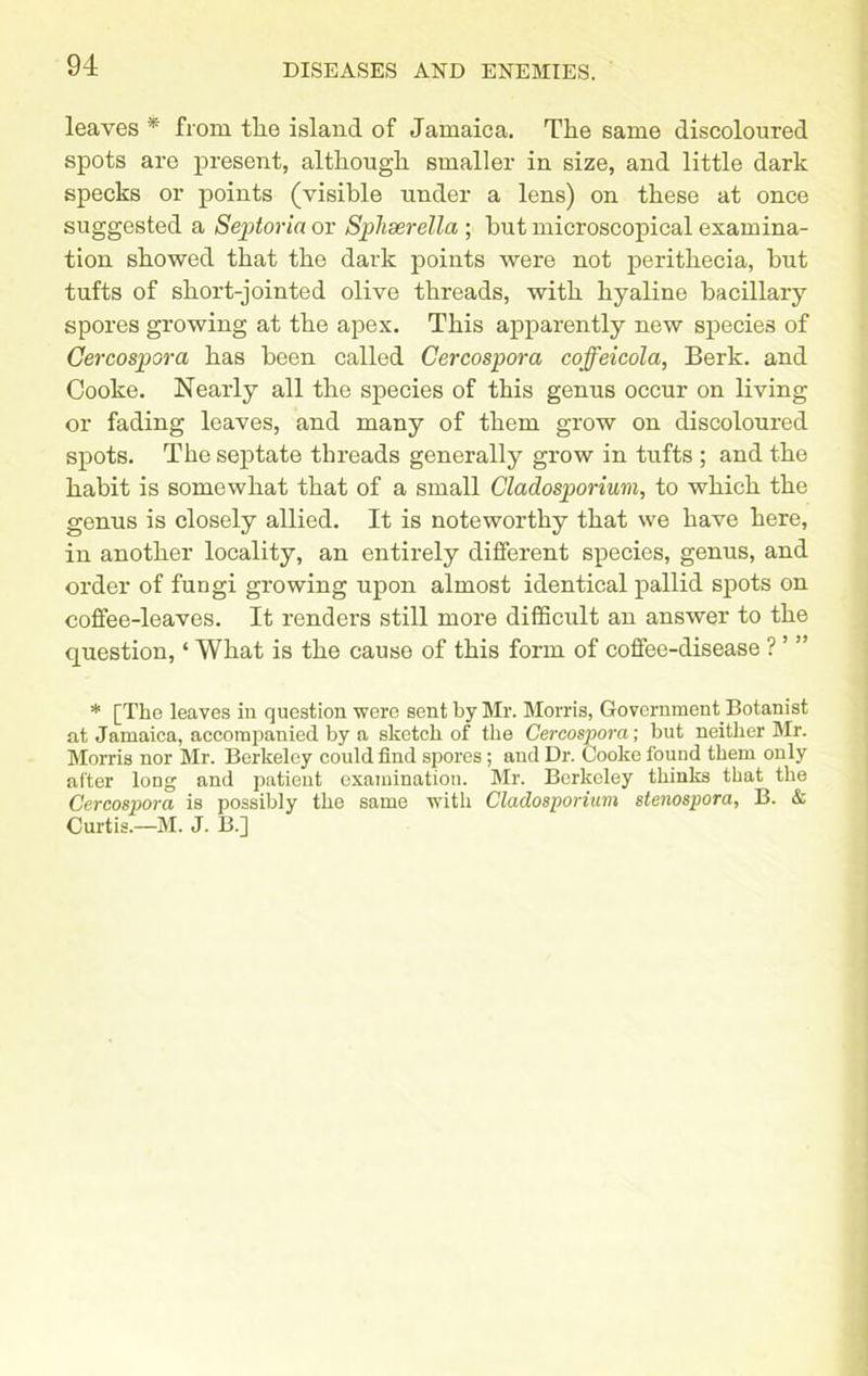 leaves * from the island of Jamaica. The same discoloured spots are present, although smaller in size, and little dark specks or points (visible under a lens) on these at once suggested a Septoria or Sphserella • but microscopical examina- tion showed that the dark points were not perithecia, hut tufts of short-jointed olive threads, with hyaline bacillary spores growing at the apex. This apparently new species of Cercospora has been called Cercospora coffeicola, Berk, and Cooke. Nearly all the species of this genus occur on living or fading leaves, and many of them grow on discoloured spots. The septate threads generally grow in tufts ; and the habit is somewhat that of a small Cladosporium, to which the genus is closely allied. It is noteworthy that we have here, in another locality, an entirely different species, genus, and order of fungi growing upon almost identical pallid spots on coffee-leaves. It renders still more difficult an answer to the question, ‘ What is the cause of this form of coffee-disease ? ’ ” * [The leaves in question were sent by Mr. Morris, Government Botanist at Jamaica, accompanied by a sketch of the Cercospora; but neither Mr. Morris nor Mr. Berkeley could find spores; and Dr. Cooke found them only after long and patient examination. Mr. Berkeley thinks that the Cercospora is possibly the same with Cladosporium stenospora, B. & Curtis.—M. J. B.]