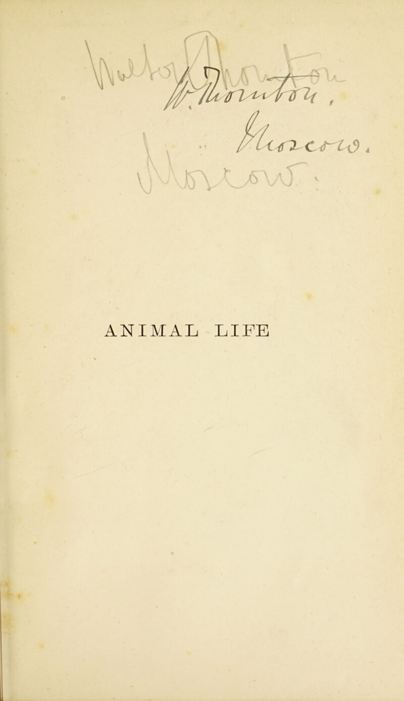 ANIMAL LIFE f