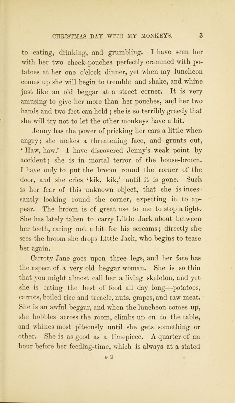 to eating, drinking, and grumbling. I have seen her with her two cheek-pouches perfectly crammed with po- tatoes at her one o’clock dinner, yet when my luncheon comes up she wTill begin to tremble and shake, and whine just like an old beggar at a street corner. It is very amusing to give her more than her pouches, and her two hands and two feet can hold ; she is so terribly greedy that she will try not to let the other monkeys have a bit. Jenny has the power of pricking her ears a little when angry; she makes a threatening face, and grunts out, 4 Haw, haw.’ I have discovered Jenny’s weak point by accident; she is in mortal terror of the house-broom. I have only to put the broom round the corner of the door, and she cries 4kik, kik,’ until it is gone. Such is her fear of this unknown object, that she is inces- santly looking round the corner, expecting it to ap- pear. The broom is of great use to me to stop a fight. She has lately taken to carry Little Jack about between her teeth, caring not a bit for his screams; directly she sees the broom she drops Little Jack, who begins to tease her again. Carroty Jane goes upon three legs, and her face has the aspect of a very old beggar woman. She is so thin that you might almost call her a living skeleton, and yet she is eating the best of food all day long—potatoes, carrots, boiled rice and treacle, nuts, grapes, and raw meat. She is an awful beggar, and when the luncheon comes up, she hobbles across the room, climbs up on to the table, and whines most piteously until she gets something or other. She is as good as a timepiece. A quarter of an hour before her feeding-time, which is always at a stated B 2