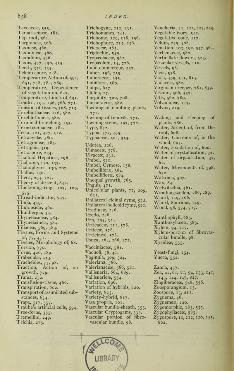 Taccaceae, 555. Tamariscineae, 582. Tap-root, 561. Targioneae, 306. Taxineae, 460. Taxodineae, 460. Taxodium, 446. Taxus, 447, 450, 455. Teeth, 331, 334. Teleutospore, 348. Temperature, Action of, 591, 651, 748, 784, 789- Temperature. Dependence of vegetation on, 647. Temperature, Limits of,65i. Tendril, 194, 196, 766, 775. Tension of tissues, 708, 713. Terebinthaceae, 116, 582. Terebinthineae, 582. Terminal branching, 155. Ternstromiaceae, 582. Testa, 421, 427, 512. Tetracyclae, 580. Tetragonieae, 585. Tetraphis, 319. Tetraspore, 234, Thalloid Hepaticae, 296, Thallome, 130, 137. Thallophytes, 130, 207. Thallus, 130. Theca, 294, 324. Theory of descent, 842. Thickening-ring, 107, 109, 575- Thread-indicator, 747, Thuja, 449. Thujopsidae, 460. Thunbergia, 34. Thymelaeaceae, 584. Thymelaeineae, 584. Tiliaceae, 569, 583. Tissues, Forms and Systems of, 77) 431- Tissues, Morphology of, 68. Torsion, 770. Torus, 426, 489. Trabeculae, 413. Trachei'des, 73, 98. Traction, Action of, on growth, 729. Trama, 250. Transfusion-tissue, 466. Transpiration, 602. TI'ansport of assimilated sub- stances, 634. Trapa, 517, 557. Traube’s artificial cells, 594. Tree-ferns, 355. Tremellini, 249. Trichia, 275. Trichogyne, 212, 235. Trichomanes, 341. Trichome, 129, 138, 356. Trichophore, 213, 236. Tricoccae, 583. Triglochin, 549. Tropaeolaceae, 582. Tropaeolum, 14, 776. Tube connecteur, 237. Tuber, 196, 255. Tuberaceae, 255. Tubiflorae, 580. Tulipa, 637. Tiillen, 27. Turgidity, 700, 708. Turneracex, 582. Twining of climbing plants, 772. Twining of tendrils, 775. Twining stems, 197, 772. Type, 842. Typha, 473, 495. Typhaceae, 504, 555. Udotea, 226. Ulmaceae, 578. Ulvaceae, 231. Umbel, 520. Umbel, Cymose, 158. Umbelliferae, 584. Umbelliflorae, 584. Unequal growth, 765. Unguis, 471. Unicellular plants, 77, 209, 615. Unilateral cicinal cyme, 522. Unilateral helicoid cyme, 521. Uredineae, 246. Uredo, 248. Urn, 294, 324. Urticaceae, iir, 578, Urticeae, 578. Urticineae, 578. Usnea, 264, 266, 273. Vacciniaceae, 581. Vacuoli, 38, 41. Vaginula, 309, 324. Valeriana, 566. Valerianaceae, 566, 581. Vallisneria, 664, 689. Vallisnerieae, 554. Variation, 696. Variation of hybrids, 820. Variety, 823. Variety-hybrid, 817. Vasa propria, loi. Vascular bundle-sheath, 355. Vascular Cryptogams, 335. Vascular portion of fibro- vascular bundle, 98. Vaucheria, 41, 223, 224, 225, Vegetable ivory, 512. Vegetative cone, 117. Velum, 249, 408. Venation, 103,192, 547, 564, Verbenaceae, 580. Verticillate flowers, 523. Vesicular vessels, no. Vessels, 98. Vida, 558. Viola, 499, 511, 814. Violaceae, 582. Virginian creeper, 781, 839. Viscum, 506, 557. Vitis, 562, 780. Volvocineae, 217. Volvox, 219. Waking and sleeping of plants, 786. Water, Ascent of, from the root, 608. Water, Currents of, in the wood, 603. Water, Exudation of, 600. Water of crystallisation, 32. Water of organisation, 32, 62. Water, Movements of, 598. 652. Watsonia, 507. Wax, 84. Welwitschia, 461. Wendungszellen, 286, 289. Whorl, 149, 166. Whorl, Spurious, 149. Wood, 98, 574, 717. Xanthophyll, 685. Xanthoxylaceae, 583. Xylem, 94, 717. Xylem-portion of fibrovas- cular bundle, 98. Xyrideae, 555. Yeast-fungi, 254. Yucca, 552. Zamia, 437. Zea, 42, 61, 71, 94, 133, 141, 143, 144, 147, 827, Zingiberaceae, 548, 556. Zoosporangium, 13. Zoospore, 13, 211. Zygnema, 46, Zygnemeae, 220. Zygomorphic, 183, 533. Zygophyllaceae, 583. Zygospore, 10, 212, 220, 245, 802.