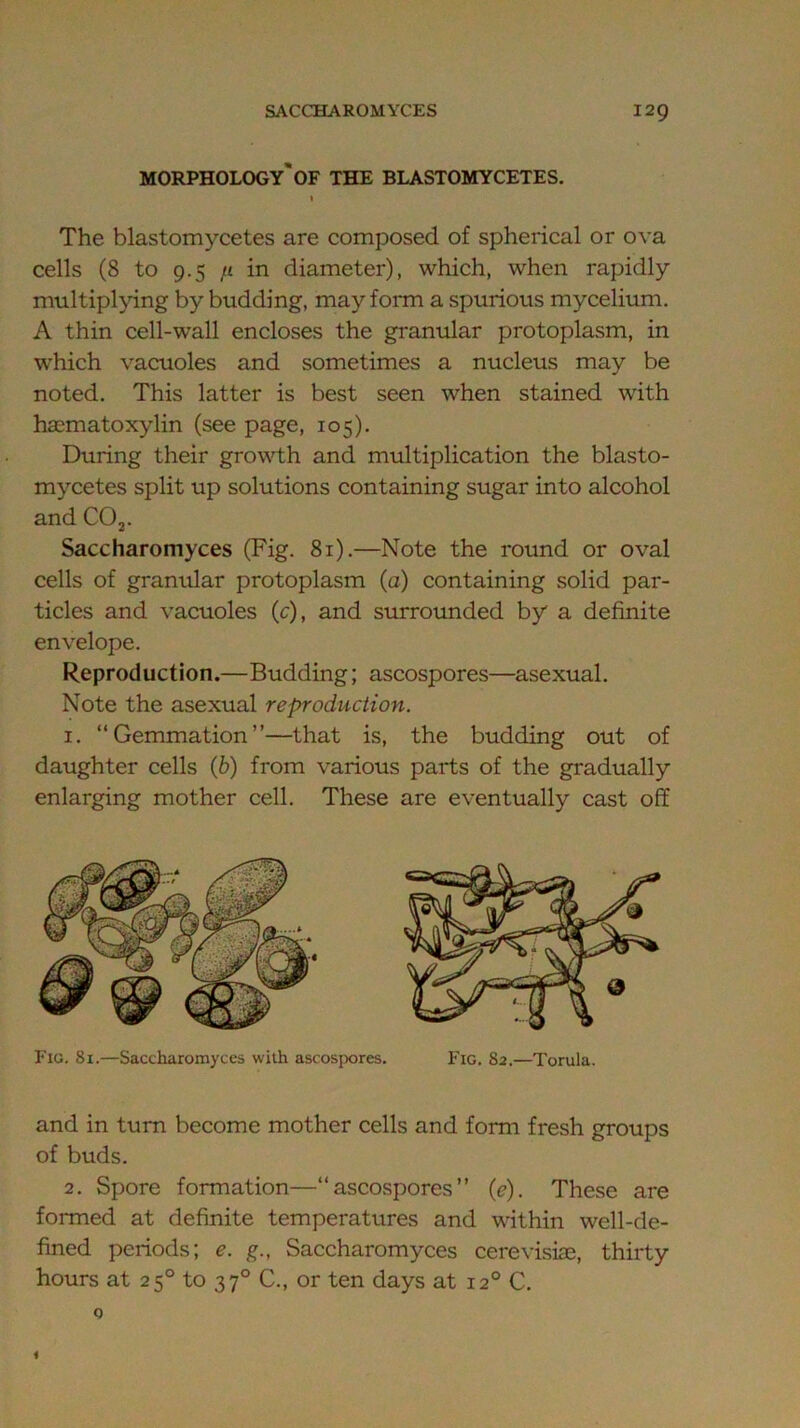 SACCHAROMYCES I2Q morphology'OF THE BLASTOMYCETES. t The blastomycetes are composed of spherical or ova cells (8 to 9.5 It in diameter), which, when rapidly multipl>’ing by budding, may form a spurious mycelium. A thin cell-w’all encloses the granular protoplasm, in which vacuoles and sometimes a nucleus may be noted. This latter is best seen when stained with haematoxylin (see page, 105). During their growth and multiplication the blasto- mycetes split up solutions containing sugar into alcohol and CO 2- Saccharomyces (Fig. 81).—Note the round or oval cells of granular protoplasm (a) containing solid par- ticles and vacuoles (c), and surrounded by a definite envelope. Reproduction.—Budding; ascospores—^asexual. Note the asexual reproduction. I. “Gemmation”—that is, the budding out of daughter cells (6) from various parts of the gradually enlarging mother cell. These are eventually cast off Fig. 81.—Saccharomyces with ascospores. Fig. 82.—Torula. and in turn become mother cells and form fresh groups of buds. 2. Spore formation—“ascospores” {e). These are formed at definite temperatures and within well-de- fined periods; e. g., Saccharomyces cerevisiee, thirty hours at 25° to 37° C., or ten days at 12° C.