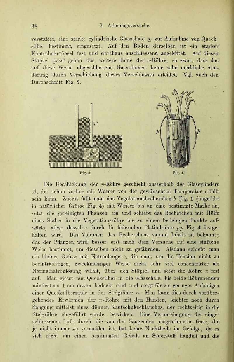 ^erstattet, eine starke cylindrische Glasschale q, zur Aufnahme von Queck- silber bestimmt, eingesetzt. Auf den Boden derselben ist ein starker Kautschukstöpsel fest und durchaus anschliessend angekittet. Auf diesen Stöpsel passt genau das weitere Ende der «-Röhre, so zwar, dass das auf diese Weise abgeschlossene Gasvolumen keine sehr merkliche Aen- derung durch Verschiebung dieses Verschlusses erleidet. Vgl. auch den Durchschnitt Fig. 2. Die Beschickung der ?i-Röhre geschieht ausserhalb des Glascylinders A, der schon vorher mit Wasser von der gewünschten Temperatur erfüllt sein kann. Zuerst füllt man das Vegetationsbecherchen b Fig. 1 (ungefähr in natürlicher Grösse Fig. 4) mit Wasser bis an eine bestimmte Marke an, setzt die gereinigten Pflanzen ein und schiebt das Becherchen mit Hülfe eines Stabes in die Vegetationsröhre bis zu einem beliebigen Punkte auf- halten wird. Das Volumen des Becherchens samrnt Inhalt ist bekannt; das der Pflanzen wird besser erst nach dem Versuche auf eine einfache Weise bestimmt, um dieselben nicht zu gefährden. Alsdann schiebt man ein kleines Gefäss mit Natronlauge c, die man, um die Tension nicht zu beeinträchtigen, zweckmässiger Weise nicht sehr viel concentrirter als Normalnatronlösung wählt, über den Stöpsel und setzt die Röhre n fest auf. Man giesst nun Quecksilber in die Glasschale, bis beide Röhrenenden mindestens 1 cm davon bedeckt sind und sorgt für ein geringes Aufsteigen einer Quecksilbersäule in der Steigrohre n. Man kann dies durch vorüber- gehendes Erwärmen der n- Röhre mit den Händen, leichter noch durch Saugung mittelst eines dünnen Kautschukschlauches, der rechtzeitig in die Steigrohre eingeführt wurde, bewirken. Eine Verunreinigung der einge- schlossenen Luft durch die von den Saugenden ausgeathmeten Gase, die. ja nicht immer zu vermeiden ist, hat keine Nachtheile im Gefolge, da es sich nicht um einen bestimmten Gehalt an Sauerstoff handelt und die ,P