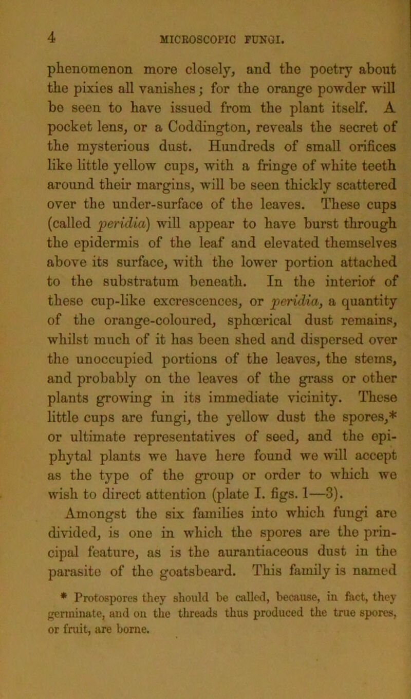 phenomenon more closely, and the poetry about the pixies all vanishes; for the orange powder will be seen to have issued from the plant itself. A pocket lens, or a Coddington, reveals the secret of the mysterious dust. Hundreds of small orifices like little yellow cups, with a fringe of white teeth around their margins, will be seen thickly scattered over the under-surface of the leaves. These cup3 (called peridia) will appear to have burst through the epidermis of the leaf and elevated themselves above its surface, with the lower portion attached to the substratum beneath. In the interior of these cup-like excrescences, or peridia, a quantity of the orange-coloured, sphocrical dust remains, whilst much of it has been shed and dispersed over the unoccupied portions of the leaves, the stems, and probably on the leaves of the grass or other plants growing in its immediate vicinity. These little cups are fungi, the yellow dust the spores,* or ultimate representatives of seed, and the epi- phytal plants we have here found we will accept as the type of the group or order to which we wish to direct attention (plate I. figs. 1—3). Amongst the six families into which fungi are divided, is one in which the spores are the prin- cipal feature, as is the aurantiaceous dust in the parasite of the goatsbeard. This family is named * Protosporcs they should be called, because, in fact, they germinate, and on the threads thus produced the true spores, or fruit, are borne.