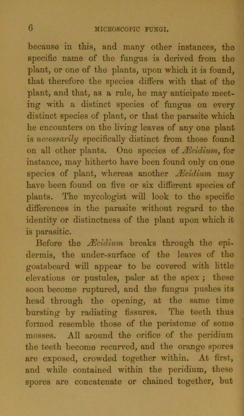 G because in this, and many other instances, the specific name of the fungus is derived from the plant, or one of the plants, upon which it is found, that therefore the species differs with that of the plant, and that, as a rule, he may anticipate meet- ing with a distinct species of fungus on every distinct species of plant, or that the parasite which he encounters on the living leaves of any one plant is necessarily specifically distinct from those found on all other plants. One species of JEcidium, for instance, may hitherto have been found only on one species of plant, whereas another JEcidium may have been found on five or six different species of plants. The mycologist will look to the specific differences in the parasite without regard to the identity or distinctness of the plant upon which it is parasitic. Before the JEddium breaks through the epi- dermis, the under-surface of the leaves of the goatsbeard will appear to be covered with little elevations or pustules, paler at the apex ; these soon become ruptured, and the fungus pushes its head through the opening, at the same time bursting by radiating fissures. The teeth thus formed resemble those of the peristome of some mosses. All around the orifice of the peridium the teeth become recurved, and the orange spores are exposed, crowded together within. At first, and while contained within the peridium, these spores are concatenate or chained together, but
