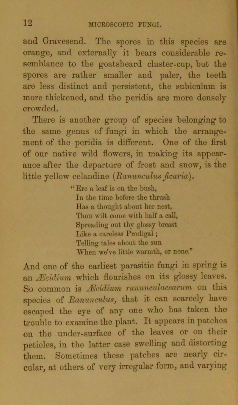 and Gravesend. The spores in tliis species are orange, and externally it bears considerable re- semblance to tbe goatsbeard cluster-cup, but tbe spores are ratber smaller and paler, the teeth are less distinct and persistent, the subiculum is more thickened, and the peridia are more densely crowded. There is another group of species belonging to the same genus of fungi in which the arrange- ment of the peridia is different. One of the first of our native wild flowers, in making its appear- ance after the departure of frost and snow, is the little yellow celandine (Ranunculus ficaria). “ Ere a leaf is on the hush, In the time before the thrush Has a thought about her nest, Thou wilt come with half a call, Spreading out thy glossy breast Like a careless Prodigal; Telling tales about the sun When we’ve little warmth, or none.” And one of the earliest parasitic fungi in spring is an sEcidium which flourishes on its glossy leaves. So common is JEcidium ranunculacearum on this species of Ranunculus, that it can scarcely have escaped tho eye of any one who has taken the trouble to examine the plant. It appears in patches on tho under-surface of the leaves or on their petioles, in the latter case swelling and distorting them. Sometimes these patches are nearly cir- cular, at others of very irregular form, and varying