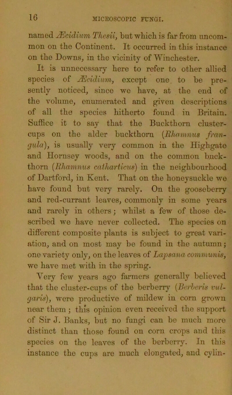 named JEcidium Thcsii, but which is far from uncom- mon on tlie Continent. It occurred in this instance on the Downs, in the vicinity of Winchester. It is unnecessary here to refer to other allied species of JEcidium, except one to he pre- sently noticed, since we have, at the end of the volume, enumerated and given descriptions of all the species hitherto found in Britain. Suffice it to say that the Buckthorn cluster- cups on the alder buckthorn (Rhamnus fran- gula), is usually very common in the Highgate and Hornsey woods, and on the common buck- thorn (Rhamnus calharticus) in the neighbourhood of Hartford, in Kent. That on the honeysuckle we have found but very rarely. On the gooseberry and red-currant leaves, commonly in some years and rarely in others; whilst a few of those de- scribed we have never collected. The species on different composite plants is subject to great vari- ation, and on most may be found in the autumn; one variety only, on the leaves of Lapsana communis, we have met with in the spring. Very few years ago farmers generally believed that the cluster-cups of the berberry (Berheris vul- garis), were productive of mildew in corn grown near them ; this opinion even received the support of Sir J. Banks, but no fungi can be much more distinct than those found on corn crops and this species on the leaves of the berberry. In this instance the cups are much elongated, and cylin-