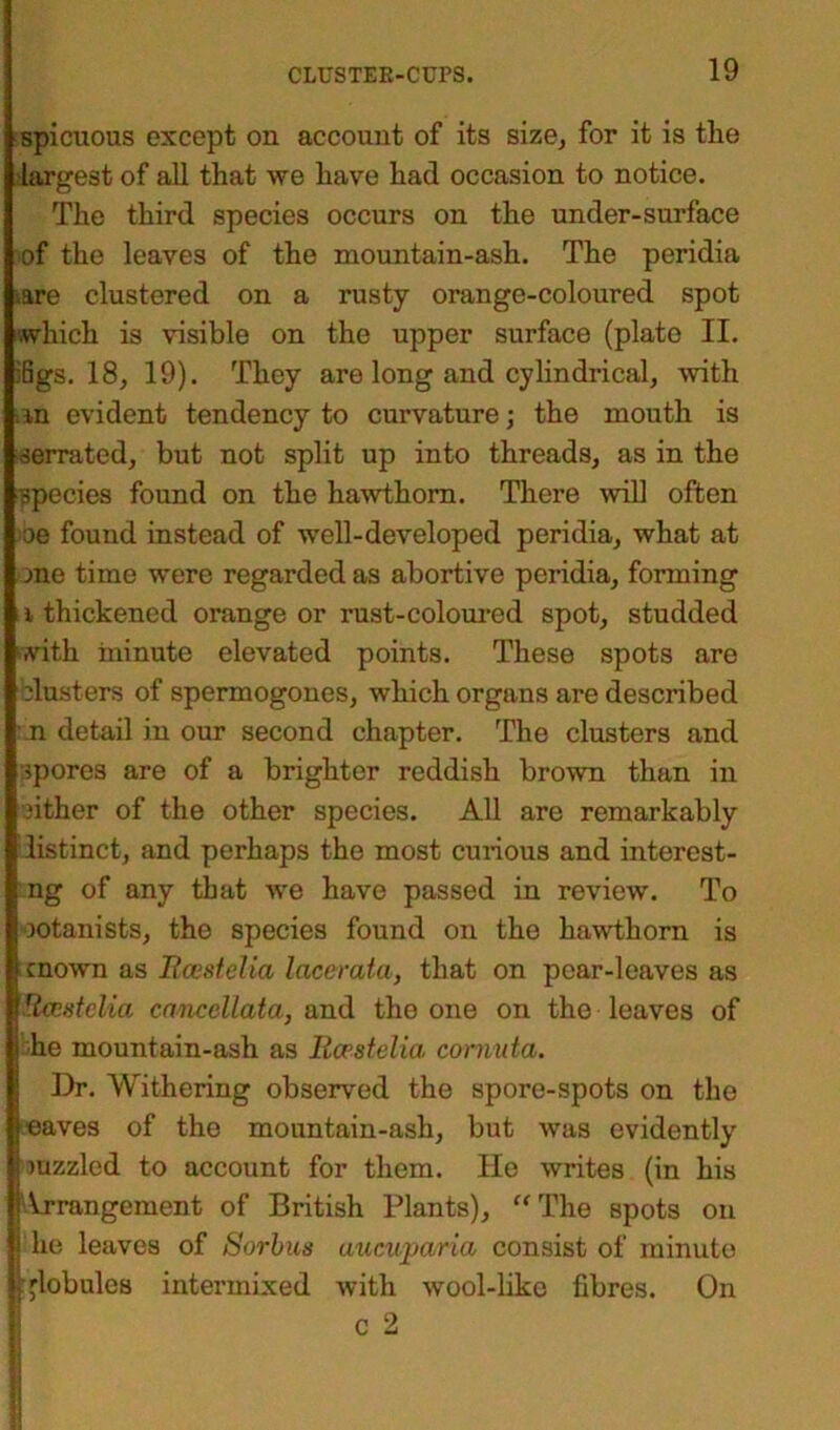 spicuous except on account of its size, for it is the largest of all that we have had occasion to notice. The third species occurs on the under-surface of the leaves of the mountain-ash. The peridia iare clustered on a rusty orange-coloured spot which is visible on the upper surface (plate II. :6gs. 18, 19). They are long and cylindrical, with an evident tendency to curvature; the mouth is serrated, but not split up into threads, as in the ppecies found on the hawthorn. There will often oe found instead of well-developed peridia, what at one time were regarded as abortive peridia, forming i thickened orange or rust-coloured spot, studded with minute elevated points. These spots are blusters of spermogones, which organs are described n detail in our second chapter. The clusters and spores are of a brighter reddish brown than in either of the other species. All are remarkably distinct, and perhaps the most curious and interest- ng of any that we have passed in review. To ootanists, the species found on the hawthorn is cnown as Rcestelia Icicerata, that on pear-leaves as Rccutclia cancellata, and the one on the leaves of he mountain-ash as Rcestelia cornuta. Dr. Withering observed the spore-spots on the eaves of the mountain-ash, but was evidently mzzled to account for them. He writes (in his Arrangement of British Plants), “The spots on he leaves of Sorbus auewpeuria consist of minute [globules intermixed with wool-like fibres. On c 2