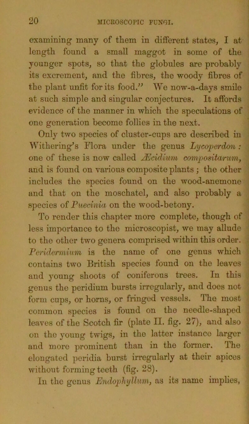 examining many of tliem in different states, I at length found a small maggot in some of the younger spots, so that the globules are probably its excrement, and the fibres, the woody fibres of the plant unfit for its food.” We now-a-days smile at such simple and singular conjectures. It affords evidence of the manner in which the speculations of one generation become follies in the next. Only two species of cluster-cups are described in Withering’s Flora under the genus Lycoperdou : one of these is now called JEcidium compositwrum, and is found on various composite plants ; the other includes the species found on the wood-anemone and that on the moschatel, and also probably a species of Puednia on the wood-betony. To render this chapter more complete, though of less importance to the microscopist, we may allude to the other two genera comprised within this order. Peridermum is the name of ono genus which contains two British species found on the leaves and young shoots of coniferous trees. In this genus the peridium bursts irregularly, and does not form cups, or horns, or fringed vessels. The most common species is found on the needle-shaped leaves of the Scotch fir (plate II. fig. 27), and also on the young twigs, in the latter instance larger and more prominent than in the former. The elongated peridia burst irregularly at their apices without forming teeth (fig. 28). In the genus Endophyllum, as its name implies,