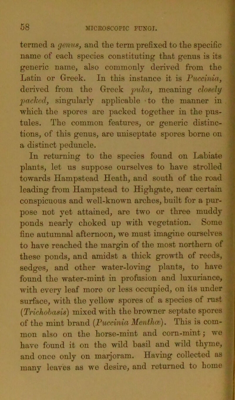 termed a gen us, and the term prefixed to the specific name of each species constituting that genus is its generic name, also commonly derived from the Latin or Greek. In this instance it is Puecinia, derived from the Greek puka, meaning closely packed, singularly applicable to the manner in which the spores are packed together in the pus- tules. The common features, or generic distinc- tions, of this genus, are uniseptate spores borne on a distinct peduncle. In returning to the species found on Labiate plants, let us suppose ourselves to have strolled towards Hampstead Heath, and south of the road leading from Hampstead to Highgate, near certain conspicuous and well-known arches, built for a pur- pose not yet attained, are two or three muddy ponds nearly choked up with vegetation. Some fine autumnal afternoon, we must imagine ourselves to have reached the margin of the most northern of these ponds, and amidst a thick growth of reeds, sedges, and other water-loving plants, to have found the water-mint in profusion and luxuriance, with every leaf more or less occupied, on its under surface, with tho yellow spores of a species of rust (Trichobasis) mixed with the browner septate spores of the mint brand (Puecinia Menthce). This is com- mon also on the horse-mint and corn-mint; we have found it on the wild basil and wild thyme, and once only on marjoram. Having collected as many leaves as we desire, and returned to home