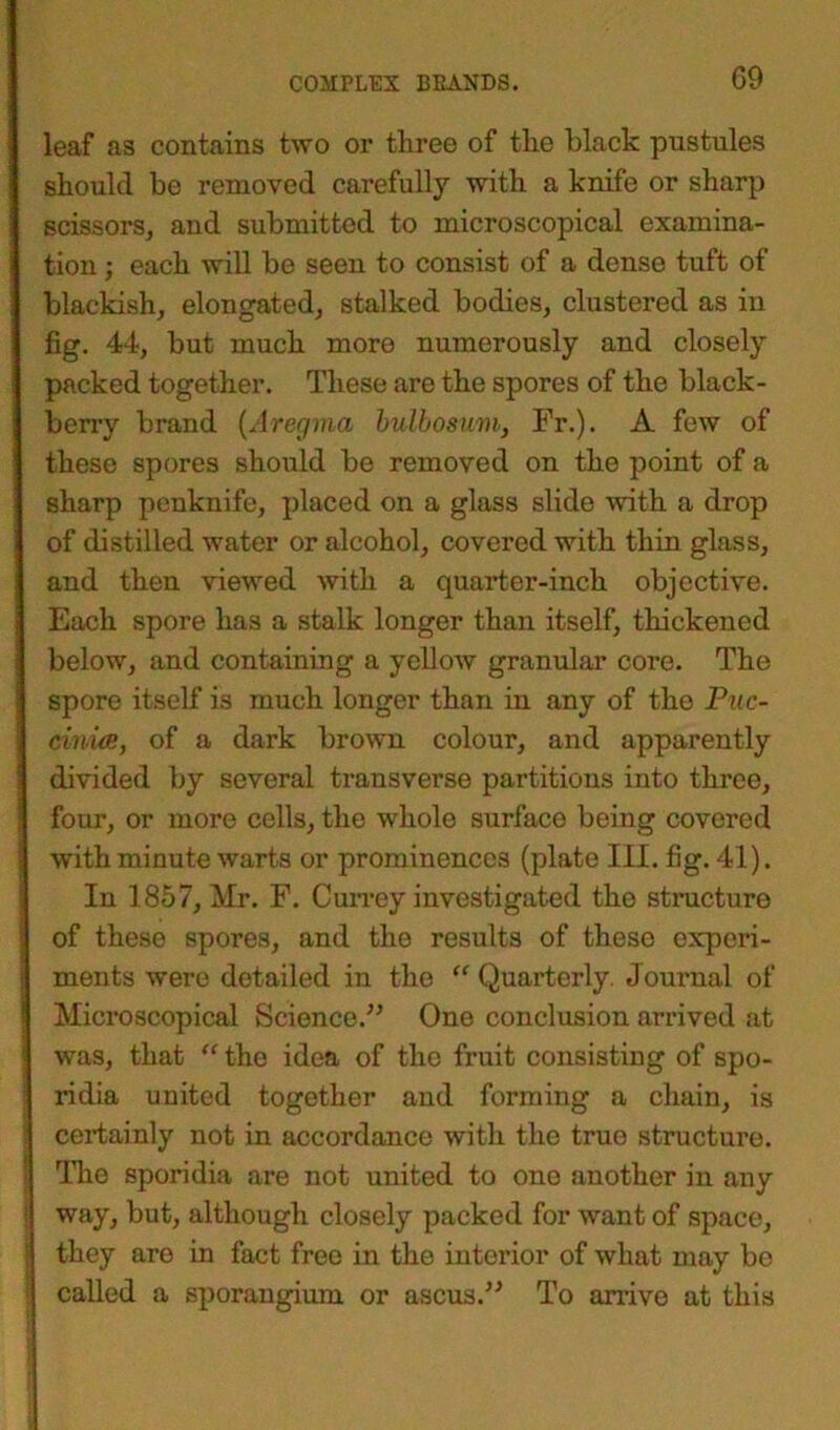 leaf as contains two or three of the black pustules should be removed carefully with a knife or sharp scissors, and submitted to microscopical examina- tion ; each will be seen to consist of a dense tuft of blackish, elongated, stalked bodies, clustered as in fig. 44, but much more numerously and closely packed together. These are the spores of the black- berry brand (Aregma bulbosum, Fr.). A few of these spores should be removed on the point of a sharp penknife, placed on a glass slide with a drop of distilled water or alcohol, covered with thin glass, and then viewed with a quarter-inch objective. Each spore has a stalk longer than itself, thickened below, and containing a yellow granular core. The spore itself is much longer than in any of the Puc- cinue, of a dark brown colour, and apparently divided by several transverse partitions into three, four, or more cells, the whole surface being covered with minute warts or prominences (plate III. fig. 41). In 1857, Mr. F. Currey investigated the structure of these spores, and the results of these experi- ments were detailed in the “ Quarterly. Journal of Microscopical Science.” One conclusion arrived at was, that “ the idea of the fruit consisting of spo- ridia united together and forming a chain, is certainly not in accordance with the true structure. The sporidia are not united to one another in any way, but, although closely packed for want of space, they are in fact free in the interior of what may be called a sporangium or ascus.” To arrive at this