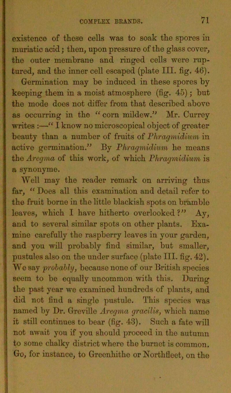 existence of these cells was to soak the spores in muriatic acid; then, upon pressure of the glass cover, the outer membrane and ringed cells were rup- tured, and the inner cell escaped (plate III. fig. 46). Germination may be induced in these spores by keeping them in a moist atmosphere (fig. 45); but the mode does not differ from that described above as occurring in the “ corn mildew.” Mr. Currey writes :—“ I know no microscopical object of greater beauty than a number of fruits of Phragmidium in active germination.” By Phragmidium he means the Aregma of this work, of which Phragmidium is a synonym e. Well may the reader remark on arriving thus far, “ Does all this examination and detail refer to the fruit borne in the little blackish spots on bramble leaves, which I have hitherto overlooked ?” Ay, and to several similar spots on other plants. Exa- mine carefully the raspberry leaves in your garden, and you will probably find similar, but smaller, pustules also on the under surface (plate III. fig. 42). We say probably, because none of our British species seem to be equally uncommon with this. During the past year we examined hundreds of plants, and did not find a single pustule. This species was named by Dr. Greville Aregma gracilis, which name it still continues to bear (fig. 43). Such a fate will not await you if you should proceed in the autumn to some chalky district where the burnet is common. Go, for instance, to Greenhithe or Northfleet, on the