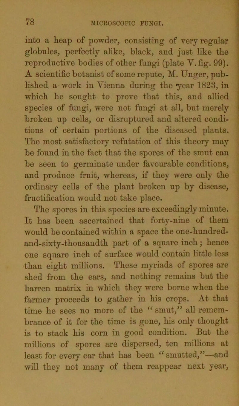 into a heap of powder, consisting of very l’egular globules, perfectly alike, black, and just like the reproductive bodies of other fungi (plate Y. fig. 99). A scientific botanist of some repute, M. Unger, pub- lished a work in Yienna during the ^year 1823, in which he sought to prove that this, and allied species of fungi, were not fungi at all, but merely broken up cells, or disruptured and altered condi- tions of certain portions of the diseased plants. The most satisfactory refutation of this theory may be found in the fact that the spores of the smut can be seen to germinate under favourable conditions, and produce fruit, whereas, if they were only the ordinary cells of the plant broken up by disease, fructification would not take place. The spores in this species are exceedingly minute. It has been ascertained that forty-nine of them would be contained within a space the one-liundred- and-sixty-thousandth part of a square inch; hence one square inch of surface would contain little less than eight millions. These myriads of spores are shed from the ears, and nothing remains but the barren matrix in which they were borne when the farmer proceeds to gather in his crops. At that time ho sees no more of the “ smut,” all remem- brance of it for the time is gone, his only thought is to stack his corn in good condition. But the millions of spores are dispersed, ten millions at least for every car that has been “ smutted,”—and will they not many of them reappear next year,