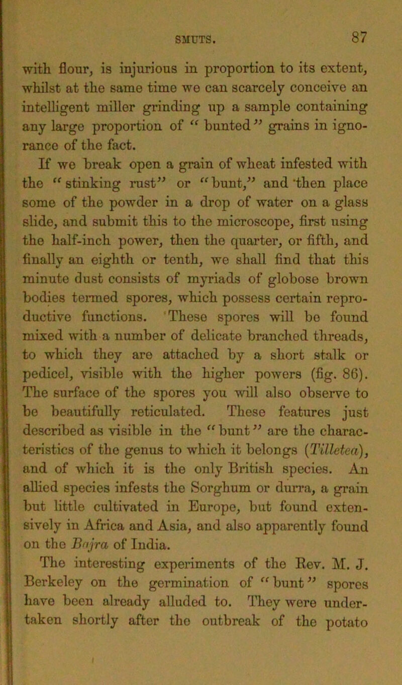 with flour, is injurious in proportion to its extent, whilst at the same time we can scarcely conceive an intelligent miller grinding up a sample containing any large proportion of “ bunted ” grains in igno- rance of the fact. If we break open a grain of wheat infested with the “ stinking rust” or “ bunt,” and ‘then place some of the powder in a drop of water on a glass slide, and submit this to the microscope, first using the half-inch power, then the quarter, or fifth, and finally an eighth or tenth, we shall find that this minute dust consists of myriads of globose brown bodies termed spores, which possess certain repro- ductive functions. These spores will be found mixed with a number of delicate branched threads, to which they are attached by a short stalk or pedicel, visible with the higher powers (fig. 86). The surface of the spores you will also observe to be beautifully reticulated. Those features just described as visible in the “ bunt ” are the charac- teristics of the genus to which it belongs (Tilletea), and of which it is the only British species. An allied species infests the Sorghum or durra, a grain but little cultivated in Europe, but found exten- sively in Africa and Asia, and also apparently found on the Bojra of India. The interesting experiments of the Rev. M. J. Berkeley on the germination of “ bunt ” spores have been already alluded to. They were under- taken shortly after the outbreak of the potato