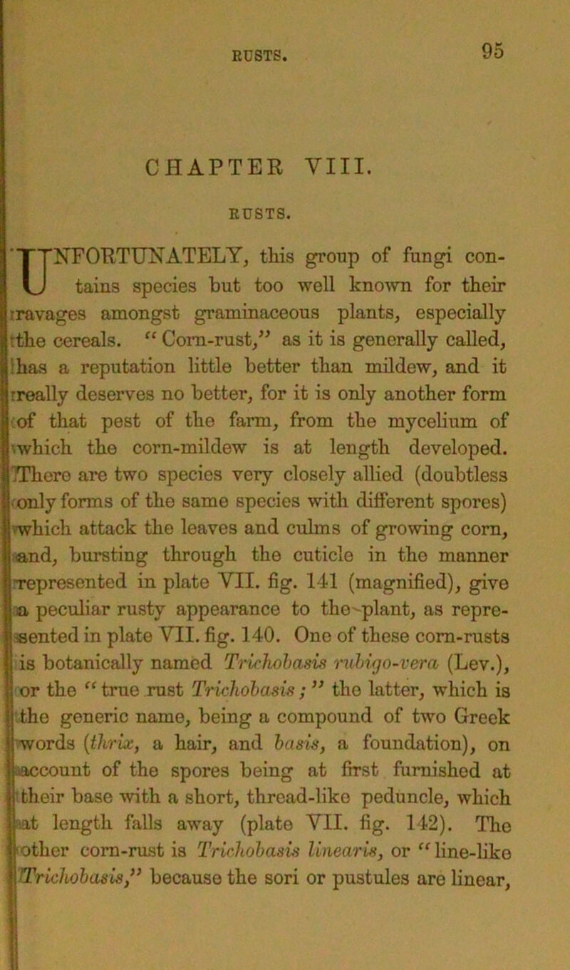 CHAPTER VIII. RUSTS. Unfortunately, this group of fungi con- tains species but too well known for their rravages amongst graminaceous plants, especially ■the cereals. “ Corn-rust,” as it is generally called, has a reputation little better than mildew, and it rreally deserves no better, for it is only another form I of that pest of the farm, from the mycelium of fj which the corn-mildew is at length developed. R’'There are two species very closely allied (doubtless | only forms of the same species with different spores) -which attack the leaves and culms of growing corn, and, bursting through the cuticle in the manner represented in plate VII. fig. 141 (magnified), give a peculiar rusty appearance to the-plant, as repre- sented in plate VII. fig. 140. One of these corn-rusts is botanically named Trichobcisis rubigo-vera, (Lev.), Sor the “ true rust Trichobcisis; ” the latter, which is the generic name, being a compound of two Greek words (thrix, a hair, and basis, a foundation), on account of the spores being at first furnished at their base Avith a short, thread-like peduncle, which aat length falls away (plate VII. fig. 142). The other corn-rust is Trichobasis linearis, or “ line-like Trichobasis,” because the sori or pustules are linear,