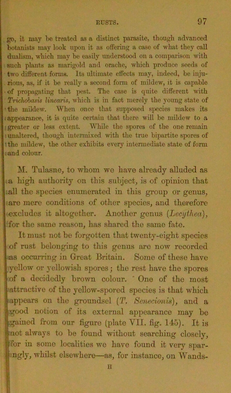 go, it may be treated as a distinct parasite, though advanced botanists may look upon it as offering a case of what they call dualism, which may be easily understood on a comparison with such plants as marigold and orache, which produce seeds of two different forms. Its ultimate effects may, indeed, be inju- rious, as, if it be really a second form of mildew, it is capable ■ of propagating that pest. The case is quite different with Trichobasis linearis, which is in fact merely the young state of ' the mildew. When once that supposed species makes its i appearance, it is quite certain that there will be mildew to a : greater or less extent. While the spores of the one remain 1 unaltered, though intermixed with the true bipartite spores of • the mildew, the other exhibits every intermediate state of form and colour. M. Tulasne, to whom we have already alluded as a liigh authority on this subject, is of opinion that . all the species enumerated in this group or genus, are mere conditions of other species, and therefore excludes it altogether. Another genus (Lecythea), for the same reason, has shared the same fate. It must not be forgotten that twenty-eight species of rust belonging to this genus are now recorded as occurring in Great Britain. Some of these have yellow or yellowish spores • the rest have the spores of a decidedly brown colour. * One of the most attractive of the yellow-spored species is that which appears on the groundsel (T. Senecionis), and a jjood notion of its external appearance may be jlgaincd from our figure (plate VII. fig. 145). It is ftnot always to be found without searching closely, ttfor in some localities wo have found it very spar- jj ngly, whilst elsewhere—as, for instance, on Wands-