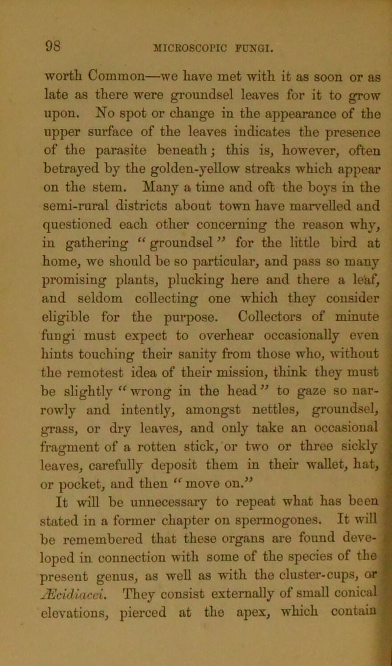 worth Common—we have met with it as soon or as late as there were groundsel leaves for it to grow upon. No spot or change in the appearance of the upper surface of the leaves indicates the presence of the parasite beneath; this is, however, often betrayed by the golden-yellow streaks which appear on the stem. Many a time and oft the boys in the semi-rural districts about town have marvelled and questioned each other concerning the reason why, in gathering “ groundsel ” for the little bird at home, we should bo so particular, and pass so many promising plants, plucking here and there a leaf, and seldom collecting one which they consider eligible for the purpose. Collectors of minute fuugi must expect to overhear occasionally even hints touching their sanity from those who, without the remotest idea of their mission, think they must be slightly “wrong in the head” to gaze so nar- rowly and intently, amongst nettles, groundsel, , grass, or dry leaves, and only take an occasional fragment of a rotten stick, or two or three sickly leaves, carefully deposit them in their wallet, hat, '.j or pocket, and then “ move on.” It will be unnecessary to repeat what has been stated in a former chapter on spermogones. It will be remembered that these organs are found deve- J loped in connection with some of the species of the present genus, as well as with the cluster-cups, or JEcidiacei. They consist externally of small conical 1 elevations, pierced at the apex, which contain 1