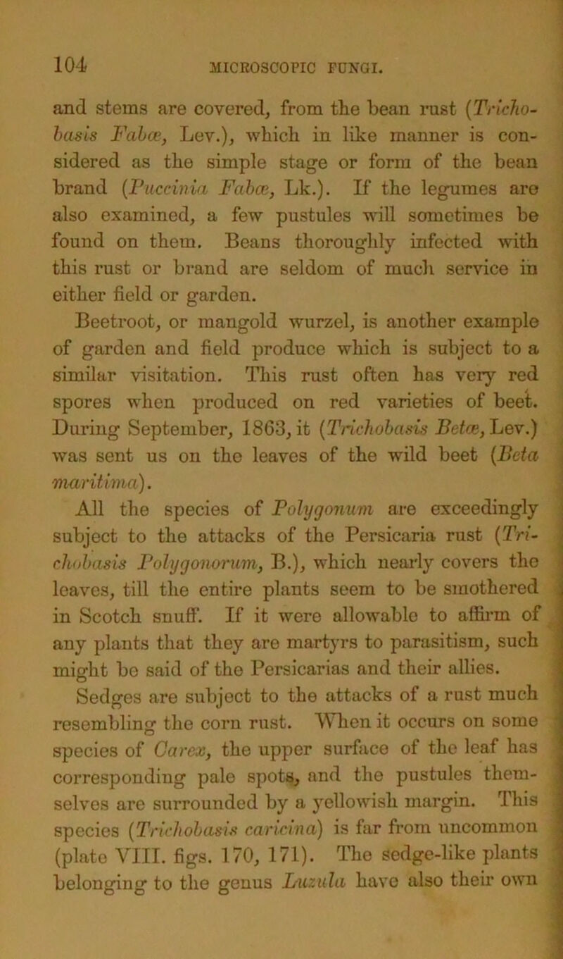 and stems are covered, from the bean rust (Tricho- basis Fabce, Lev.), which in like manner is con- sidered as the simple stage or form of the bean brand (Vaccinia Fabce, Lk.). If the legumes are also examined, a few pustules will sometimes be found on them. Beans thoroughly infected with this rust or brand are seldom of much service in either field or garden. Beetroot, or mangold wurzel, is another example of garden and field produce which is subject to a similar visitation. This rust often has very red spores when produced on red varieties of beet. During September, 1863, it (Trichobasis Betce, Lev.) was sent us on the leaves of the wild beet (Beta maritima). All the species of Polygonum are exceedingly subject to the attacks of the Persicaria rust (Tri- chobasis Polygonorum, B.), which nearly covers the leaves, till the entire plants seem to be smothered in Scotch snuff. If it were allowable to affirm of any plants that they are martyrs to parasitism, such might be said of the Persicarias and their allies. Sedges are subjoct to the attacks of a rust much resembling the corn rust. When it occurs on some : species of Car ex, the upper surface of the leaf has corresponding palo spots, and the pustules them- selves are surrounded by a yellowish margin. This species (Trichobasis caricina) is far from uncommon (plate VIII. figs. 170, 171). The sedge-like plants belonging to the genus Luzula have also their own