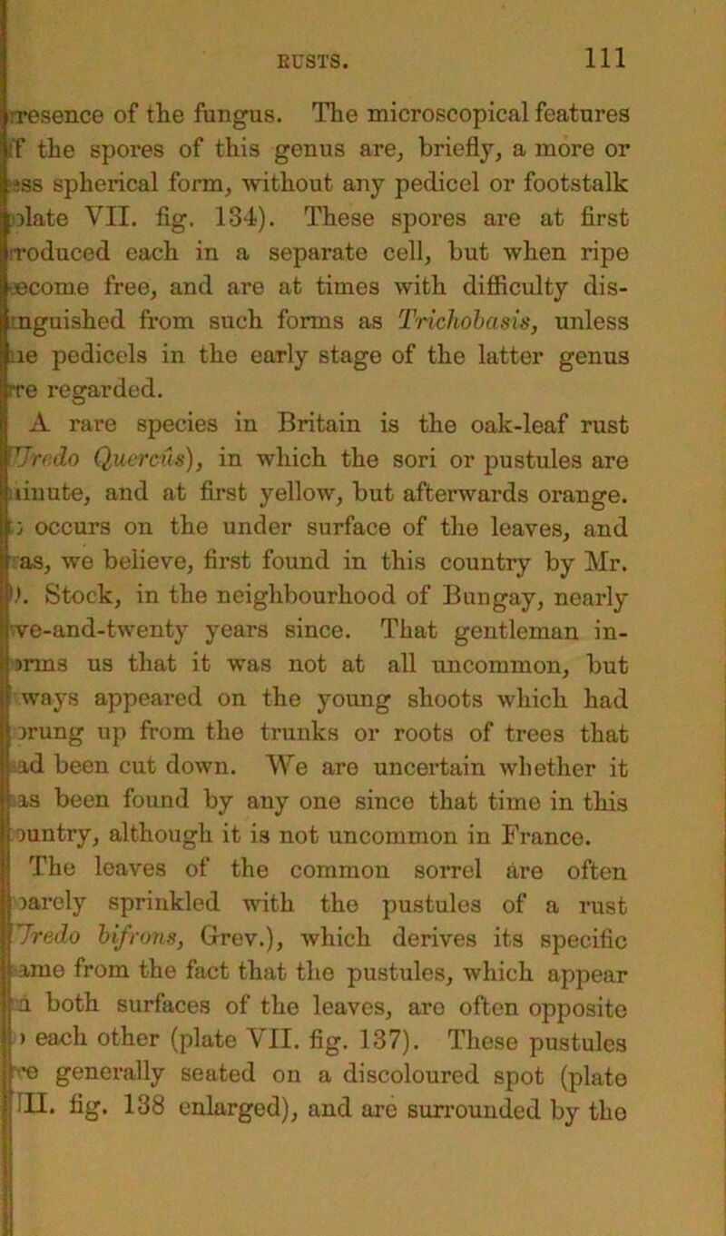 absence of the fungus. The microscopical features if the spores of this genus are, briefly, a more or ?iss spherical form, without any pedicel or footstalk olate VII. fig. 134). These spores are at first roduced each in a separate cell, but when ripe -•©come free, and are at times with difficulty dis- nguished from such forms as Trichobasis, unless ie pedicels in the early stage of the latter genus ■re regarded. A rare species in Britain is the oak-leaf rust UJredo Quercus), in which the sori or pustules are |f linute, and at first yellow, but afterwards orange. ; occurs on the under surface of the leaves, and as, we believe, first found in this country by Mr. h. Stock, in the neighbourhood of Bungay, nearly ve-and-twenty years since. That gentleman in- Irnns us that it was not at all uncommon, but ways appeared on the young shoots which had rnung up from the trunks or roots of trees that ad been cut down. We are uncertain whether it as been found by any one since that time in this t auntry, although it is not uncommon in France. [The leaves of the common sorrel are often oarely sprinkled with the pustules of a rust S'Jredo bifrons, Grev.), which derives its specific amo from the fact that the pustules, which appear jU both surfaces of the leaves, are often opposite J) each other (plate VII. fig. 137). These pustules itre generally seated on a discoloured spot (plate Ijlll. fig. 138 enlarged), and are surrounded by tho