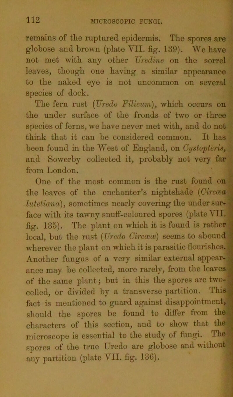 remains of tlie ruptured epidermis. The spores are globose and brown (plate VII. fig. 139). We have not met with any other TJredine on the sorrel leaves, though one having a similar appearance to the naked eye is not uncommon on several species of dock. The fern rust (TTredo Filicum), which occurs on the under surface of the fronds of two or three species of ferns, we have never met with, and do not think that it can be considered common. It has been found in the AVest of England, on Cystopteris, and Sowerby collected it, probably not very far from London. One of the most common is the rust found on the leaves of the enchanter's nightshade (Circcea lutetima), sometimes nearly covering the undersur- face with its tawny snuff-coloured spores (plate VII. fig. 135). The plant on which it is found is rather local, but the rust (TJredo Circcece) seems to abound wherever the plant on which it is parasitic flourishes. Another fungus of a very similar external appear- ance may be collected, more rarely, from the leaves, of the same plant; but in this the spores are two-! celled, or divided by a transverse partition. ThisS fact is mentioned to guard against disappointment, j should the spores be found to differ from the characters of this section, and to show that the microscope is essential to the study of fungi. The spores of the true Uredo are globose and without any partition (plate VII. fig. 13(5).