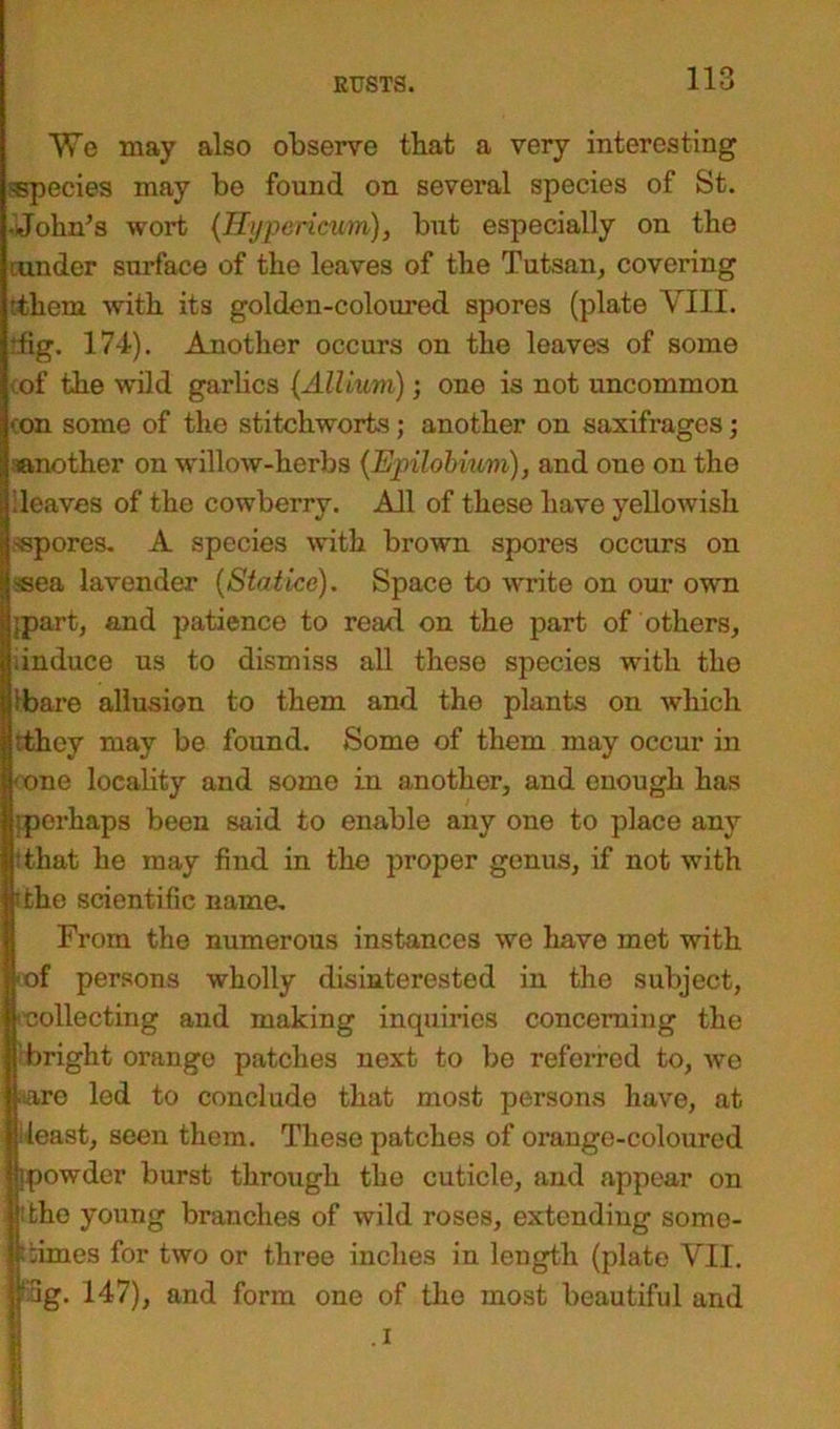 We may also observe that a very interesting ^species may be found on several species of St. -John’s wort {Hypericum), but especially on the mnder surface of the leaves of the Tutsan, covering tthem with its golden-coloured spores (plate VIII. tfig. 174). Another occurs on the leaves of some of the wild garlics (Allium); one is not uncommon ■ on some of the stitchworts; another on saxifrages; another on willow-herbs {Epilobiuvi), and one on tho leaves of the cowberry. All of these have yellowish ^spores. A species with brown spores occurs on -sea lavender (Statice). Space to write on our own [part, and patience to read on the part of others, iinduce us to dismiss all these species with the ibare allusion to them and the plants on which they may be found. Some of them may occur in -one locality and some in another, and enough has ■perhaps been said to enable any one to place any That he may find in the proper genus, if not with The scientific name- From the numerous instances we have met with (of persons wholly disinterested in the subject, collecting and making inquiries concerning the bright orange patches next to be referred to, we sare led to conclude that most persons have, at deast, seen them. These patches of orange-coloured ipowder burst through tho cuticle, and appear on The young branches of wild roses, extending some- times for two or three inches in length (plate VII. •3g. 147), and form one of the most beautiful and