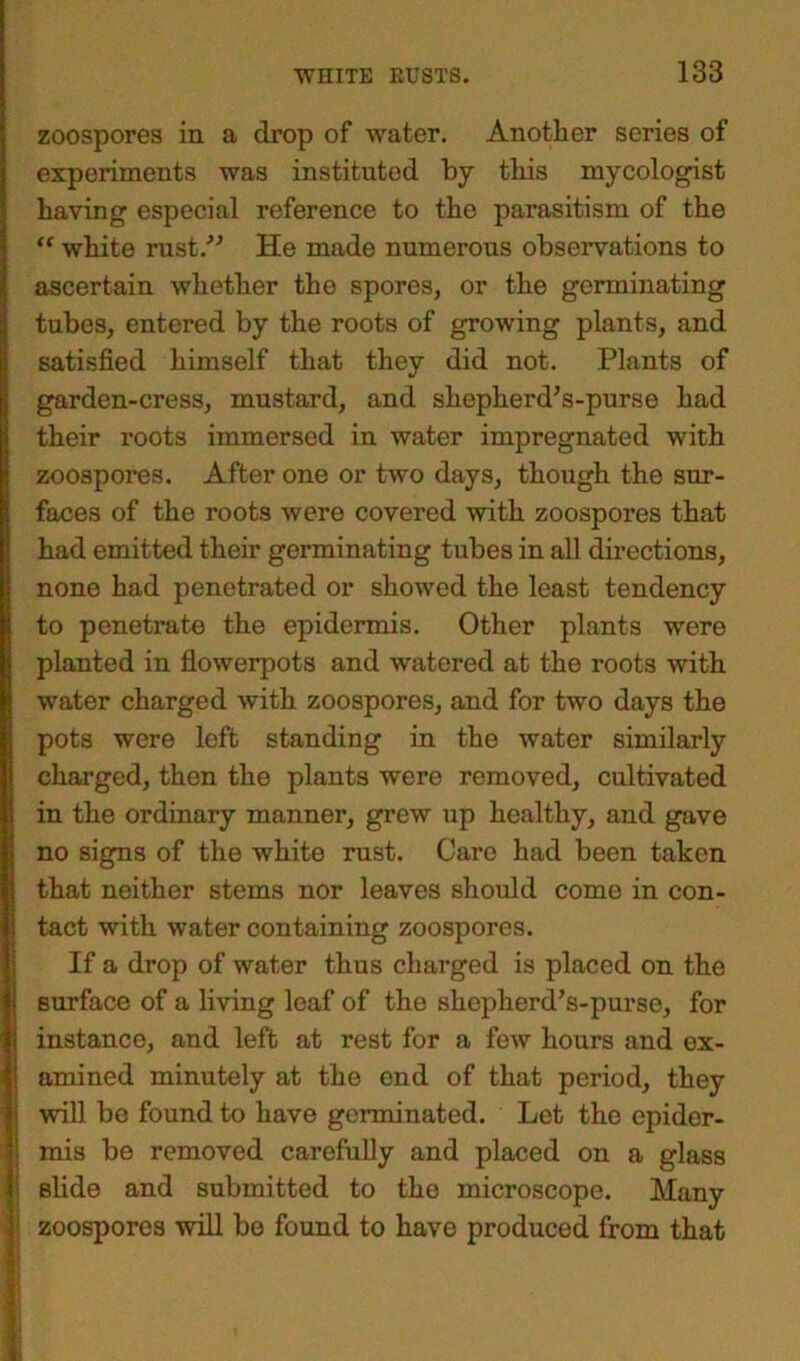 zoospores in a drop of water. Another series of experiments was instituted by this mycologist having especial reference to the parasitism of the “ white rust.” He made numerous observations to ascertain whether tho spores, or the germinating tubes, entered by the roots of growing plants, and satisfied himself that they did not. Plants of garden-cress, mustard, and shepherd's-purse had their roots immersed in water impregnated with zoospores. After one or two days, though the sur- faces of the roots were covered with zoospores that had emitted their germinating tubes in all directions, none had penetrated or showed the least tendency to penetrate the epidermis. Other plants were planted in flowerpots and watered at the roots with water charged with zoospores, and for two days the pots were left standing in the water similarly charged, then the plants were removed, cultivated in the ordinary manner, grew up healthy, and gave no signs of the white rust. Caro had been taken that neither stems nor leaves should como in con- tact with water containing zoospores. If a drop of water thus charged is placed on the surface of a living leaf of the shepherd’s-purse, for instance, and left at rest for a few hours and ex- amined minutely at the end of that period, they i will be found to have germinated. Let the epider- | mis be removed carefully and placed on a glass I slide and submitted to the microscope. Many 1 zoospores will be found to have produced from that