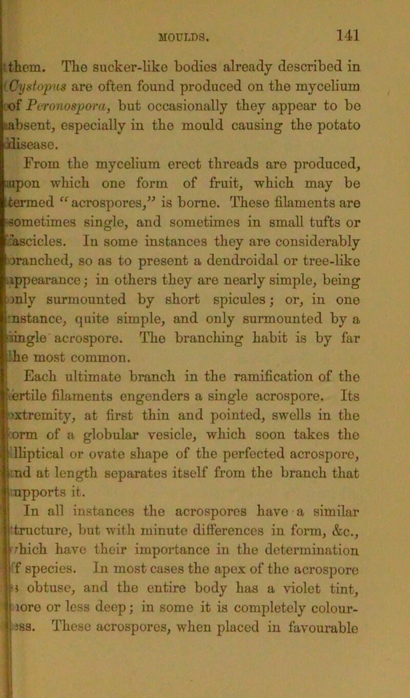 them. Tlie sucker-like bodies already described in { Cystopus are often found produced on tbe mycelium of Ptronospora, but occasionally they appear to be absent, especially in tbe mould causing tbe potato disease. From tbe mycelium erect threads are produced, upon which one form of fruit, which may be [termed “ acrospores,” is borne. These filaments are sometimes single, and sometimes in small tufts or fascicles. In some instances they are considerably branched, so as to present a dendroidal or tree-like appearance; in others they are nearly simple, being mly surmounted by short spicules; or, in one instance, quite simple, and only surmounted by a ■single acrospore. The branching habit is by far • he most common. Each ultimate branch in the ramification of the fertile filaments engenders a single acrospore. Its extremity, at first thin and pointed, swells in the orm of a globular vesicle, which soon takes the lliptical or ovate shape of the perfected acrospore, |:nd at length separates itself from the branch that I upports it. In all instances the acrospores have a similar 1'tructure, but with minute differences in form, &c., phich have their importance in the determination j'f species. In most cases the apex of the acrospore 1 j obtuse, and the entire body has a violet tint, * | loro or less deep; in some it is completely colour- | iss. These acrospores, when placed in favourable
