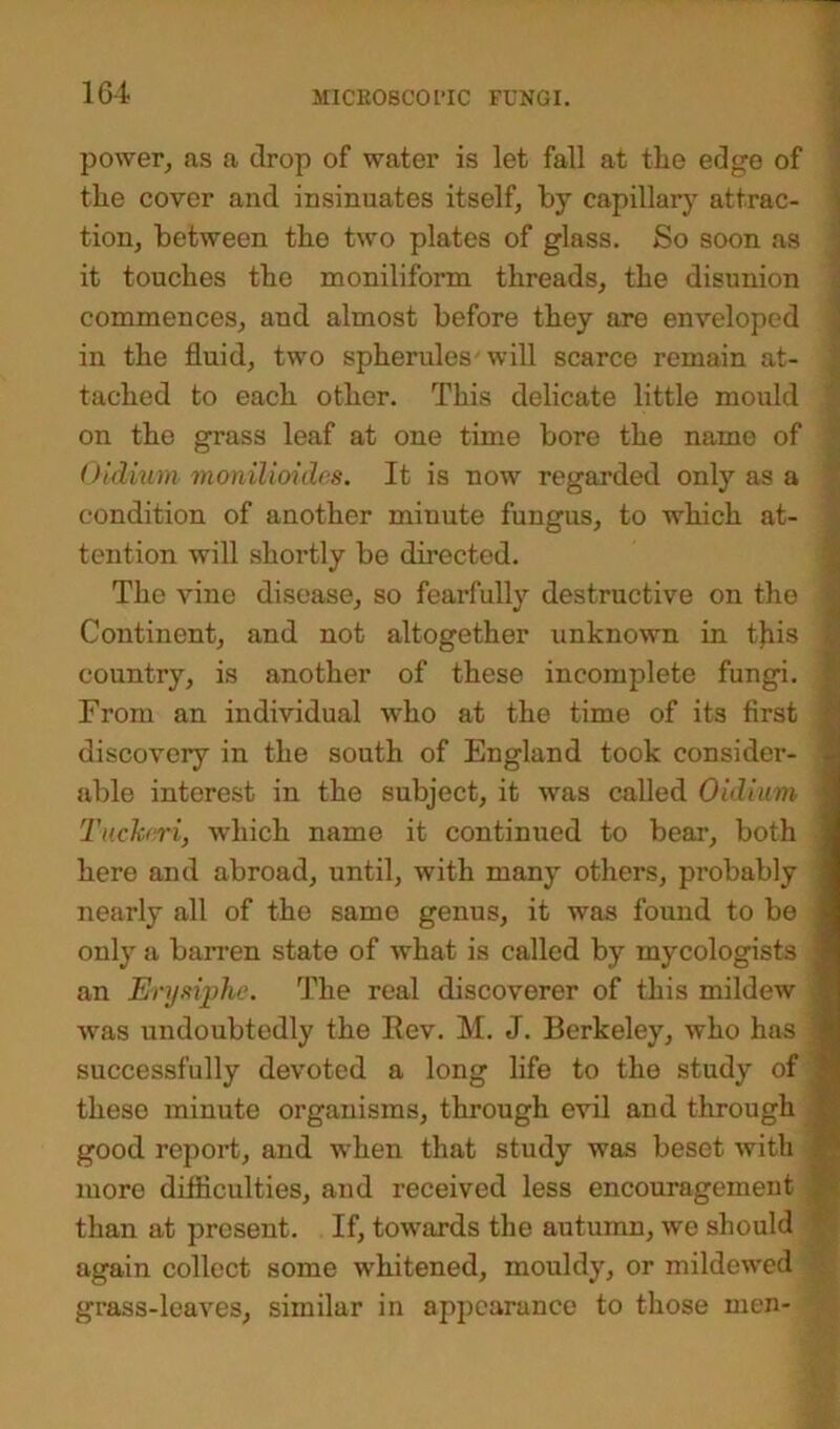 power, as a drop of water is let fall at the edge of the cover and insinuates itself, by capillary attrac- tion, between the two plates of glass. So soon as it touches the moniliform threads, the disunion commences, and almost before they are enveloped in the fluid, two spherules • will scarce remain at- tached to each other. This delicate little mould on the grass leaf at one time bore the name of Oidium monilioides. It is now regarded only as a condition of another minute fungus, to which at- tention will shortly be directed. The vine disease, so fearfully destructive on the Continent, and not altogether unknown in tjiis country, is another of these incomplete fungi. From an individual who at the time of its first discovery in the south of England took consider- able interest in the subject, it was called Oidium Tuchri, which name it continued to bear, both here and abroad, until, with many others, probably nearly all of the same genus, it was found to be only a barren state of what is called by mycologists an E'rysiphe. The real discoverer of this mildew was undoubtedly the Rev. M. J. Berkeley, who has successfully devoted a long life to the study of these minute organisms, through evil and through good report, and when that study was beset with more dilflculties, and received less encouragement than at present. If, towards the autumn, we should again collect some whitened, mouldy, or mildewed grass-leaves, similar in appearance to those men-