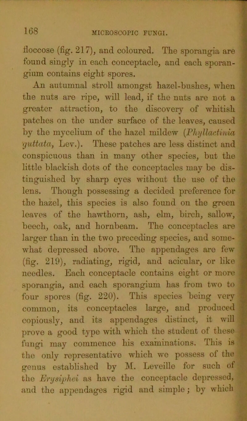 floccose (fig. 217), and coloured. Tho sporangia are found singly in each conceptacle, and each sporan- gium contains eight spores. An autumnal stroll amongst hazel-hushes, when the nuts are ripe, will lead, if the nuts are not a greater attraction, to the discovery of whitish patches on the under surface of the leaves, caused by the mycelium of the hazel mildew (Phylladiuia guttata, Lev.). These patches are less distinct and conspicuous than in many other species, but the j little blackish dots of the conceptacles may be dis- \ tinguished by sharp eyes without the use of the ; lens. Though possessing a decided preference for j the hazel, this species is also found on the green leaves of the hawthorn, ash, elm, birch, sallow, beech, oak, and hornbeam. The conceptacles are larger than in the two preceding species, and some- : what depressed above. The appendages are few (fig. 219), radiating, rigid, and acicular, or like ' needles. Each conceptacle contains eight or more j sporangia, and each sporangium has lrom two to | four spores (fig. 220). This species being very 1 common, its conceptacles large, and produced | copiously, and its appendages distinct, it will * prove a good typo with which the student of these I fungi may commence his examinations. This is ] the only representative which we possess of the . genus established by M. Leveillo for such of tho Erysiph&i as have the conceptacle depressed, and tho appendages rigid and simple; by which