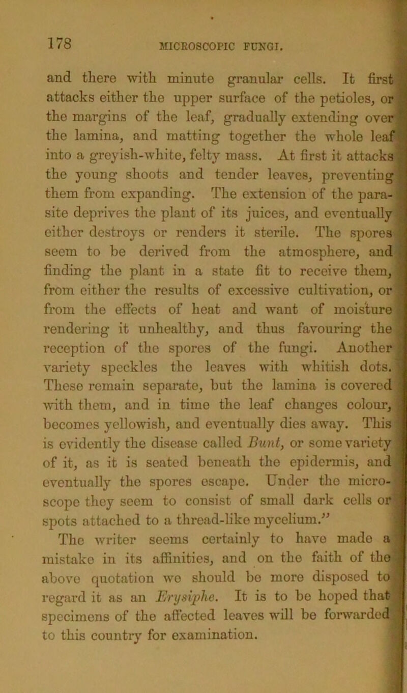 and there with minute granular cells. It first attacks either the upper surface of the petioles, or the margins of the leaf, gradually extending over the lamina, and matting together the whole leaf into a greyish-white, felty mass. At first it attacks the young shoots and tender leaves, preventing them from expanding. The extension of the para- ’ site deprives the plant of its juices, and eventually seem to be derived from the atmosphere, and finding the plant in a state fit to receive them,? from either the results of excessive cultivation, or from the effects of heat and want of moisture rendering it unhealthy, and thus favouring the \ reception of the spores of the fungi. Another * variety speckles the leaves with whitish dots.] These remain separate, but the lamina is covered ] ■with them, and in time the leaf changes colour, ] becomes yellowish, and eventually dies away. This ] is evidently the disease called Bunt, or some variety 1 of it, as it is seated beneath the epidermis, and ‘ eventually the spores escape. Under the micro-1 scope they seem to consist of small dark cells or } spots attached to a thread-like mycelium.” The writer seems certainly to have made a - mistake in its affinities, and on the faith of the j above quotation wo should bo more disposed to* regard it as an Erysiphe. It is to be hoped that ; specimens of the affected leaves will be forwarded to this country for examination. —--- ■ - ------ -