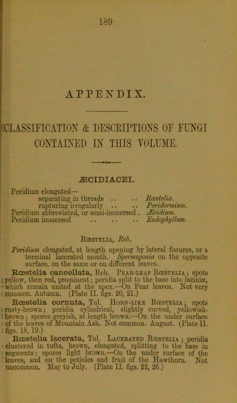 APPENDIX. (CLASSIFICATION & DESCRIPTIONS OF FUNGI CONTAINED IN THIS VOLUME. ——♦<>♦—— 2ECIDIACEI. Peridium elongated— separating in threads .. .. Rcestelia. rupturing irregularly .. .. Peridermium. Peridium abbreviated, or semi-immersed. JBcidium. Peridium immersed .. .. .. Endophyllum. Rcestelia, Pel). Peridium elongated, at length opening by lateral fissures, or a terminal lacerated mouth. Spermononia on the opposite surface, on the same or on different leaves. Rcestelia cancellata, Reb. Pear-leaf Rcestelia ; spots yellow, then red, prominent; peridia split to the base into latinise, which remain united at the apex.—On Pear leaves. Not very : common. Autumn. (Plate H. figs. 20, 21.) Rcestelia cornuta, Tul. Horn-like Rcestelia: spots ’rusty-brown; peridia cylindrical, slightly curved, yellowish- brown: spores greyish, at length brown.—On the under surface of the leaves of Mountain Ash. Not common. August. (Plate II. : figs. 18,19.) Rcestelia laeerata, Tul. Lacerated Rcestelia ; peridia * clustered in tufts, brown, elongated, splitting to the base in ; segments; spores light brown.—On the under surface of the leaves, and on the petioles and fruit of the Hawthorn. Not uncommon. May to July. (Plate II. figs. 22, 26.)