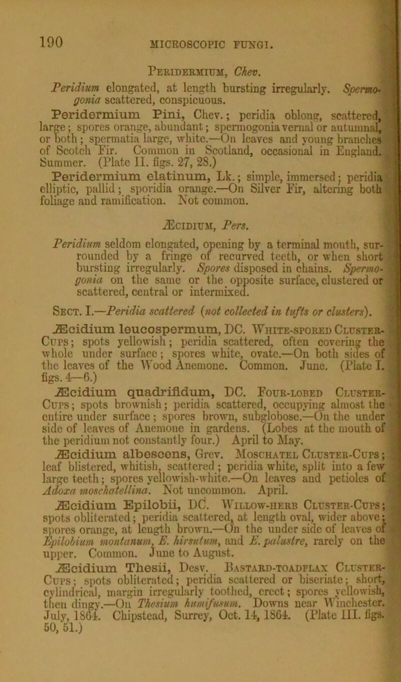 Peridermium, Chen. Per id turn elongated, at length bursting irregularly. SjpcmoM gonia scattered, conspicuous. Poridermium Pini, Cliev.; pcridia oblong, scattered, large; spores orange, abundant; spermogonia vernal or autumnal, or both ; spermatia large, white.—On leaves and young branches of Scotch Pir. Common in Scotland, occasional in England. I Summer. (Plate II. figs. 27, 28.) Peridermium elatinum, Lk.; simple, immersed; peridia elliptic, ptdlid; sporidia orange.—On Silver Pir, altering both c foliage and ramification. Not common. JScidium, Pers. Peridium seldom elongated, opening by a terminal mouth, sur- J rounded by a fringe of recurved teeth, or when short it bursting irregularly. Spores disposed in chains. Spermo- j gonia on the same or the opposite surface, clustered or scattered, central or intermixed. Sect. I.—Peridia scattered (not collected in tufts or clusters). JEcidium loucospermum, DC. White-stored Cluster- l Cups ; spots yellowish; peridia scattered, often covering the ; whole under surface; spores white, ovate.—On both sides of the leaves of the Wood Anemone. Common. June. (Plate I. figs. 4—6.) JEcidium quadrifidum, DC. Pour-lobed Cluster- j Cups; spots brownish; peridia scattered, occupying almost the - entire under surface ; spores brown, subglobose.—On the under ] side of leaves of Anemone in gardens. (Lobes at the mouth of the peridium not constantly four.) April to May. JEcidium albescens, Grev. Moschatel Cluster-Cups ; leaf blistered, whitish, scattered ; peridia white, split into a few :• large teeth; spores yellowish-white—On leaves and petioles of '] Adorn moschatellim. Not uncommon. April. JEcidium Epilobii, DC. Willow-herb Cluster-Cups; spots obliterated; peridia scattered, at length oval, wider above: I spores orange, at lcugtk brown.—(Jn the under side of leaves of* Epilobium montanum.E. hirsutum, and E.palustre, rarely on the upper. Common. June to August. JEcidium Thesii, Desv. Bastard-toadflax Cluster- f Cups; spots obliterated; peridia scattered or biscriate; short, cylindrical, margin irregularly toothed, erect; spores yellowish, then dingy.—On Thesium humifusum. Downs near Winchester. I July, 1864. Ckipstead, Surrey, Oct. 14, 1864. (Plate III. figs. 50, 51.)