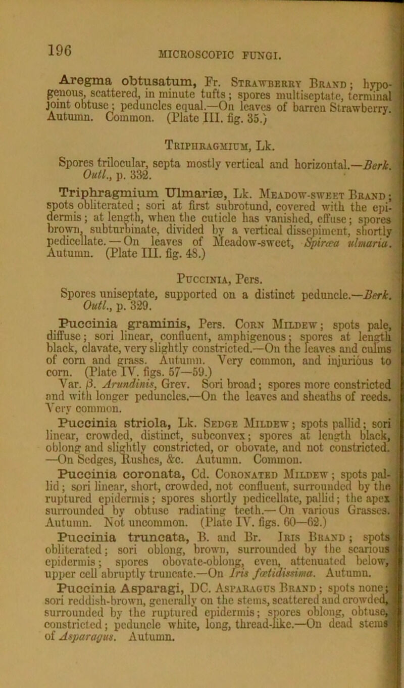 Aregma obtusatum, Fr. Strawberry Brand; hvpo- genous scattered, in minute tufts ; spores multiseptate, terminal joint obtuse ; peduncles equal.—On leaves of barren Strawberry Autumn. Common. (Plate III. fig. 35.) Tripiiragmium, Lk. Spores trilocular, septa mostly vertical and horizontal.—Berk. 1 Outl., p. 332. Triphragmium TJlmariae, Lk. Meadow-sweet Brand ; j spots obliterated ; sori at first subrotund, covered with the epi- dermis; at length, when the cuticle has vanished, elfuse; spores brown, subturbinate, divided by a vertical dissepiment, shortly pedicellate. — On leaves of Meadow-sweet, Spinea ulmaria. i Autumn. (Plate III. fig. 48.) Puccinia, Fers. Spores uniseptate, supported on a distinct peduncle.—Berk. Outl., p. 329. Puccinia graminis, Pers. Corn Mildew; spots pale, diffuse; sori linear, confluent, amphigenous: spores at length black, clavate, very slightly constricted.—On the leaves and culms of com and grass. Autumn. Very common, and injurious to corn. (Plate IV. figs. 57—59.) Var. f3. Arundinis, Grev. Sori broad; spores more constricted and with longer peduncles.—On the leaves and sheaths of reeds. : Very common. Puccinia striola, Lk. Sedge Mildew ; spots pallid; sori linear, crowded, distinct, subconvex; spores at length black, j oblong and slightly constricted, or obovate, and not constricted, i —On Sedges, Rushes, &c. Autumn. Common. Puccinia eoronata, Cd. Coronated Mildew ; spots pal- lid ; sori linear, short, crowded, not confluent, surrounded by the ruptured epidermis; spores shortly pedicellate, pallid; the apex surrounded by obtuse radiating teeth.— On various Grasses. Autumn. Not uncommon. (Plate IV. figs. 60—G2.) Puccinia truncata, B. and Br. Iris Brand ; spots obliterated; sori oblong, brown, surrounded by the scanous epidermis; spores obovatc-oblong, even, attenuated below, upper cell abruptly truncate.—On Iris foetidissima. Autumn. Puccinia Asparagi, I)C. Asparagus Brand ; spots none; sori reddish-brown, generally on the stems, scattered and crowded^ surrounded by the ruptured epidermis; spores oblong, obtuseJ constricted; peduncle white, long, thread-like.—On dead sterna of Asparagus. Autumn.